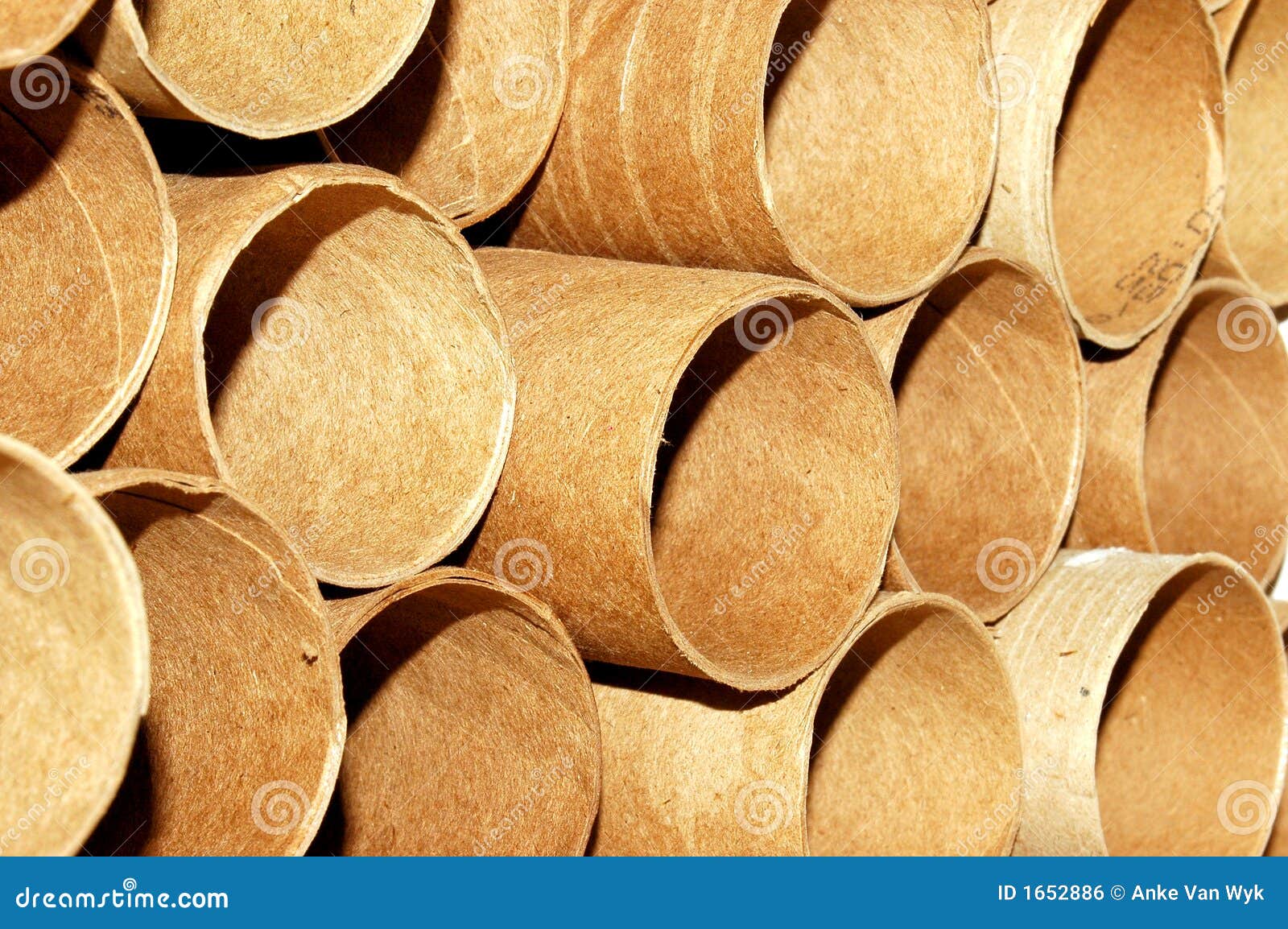 2,143 Cardboard Rolls Stock Photos - Free & Royalty-Free Stock Photos from  Dreamstime