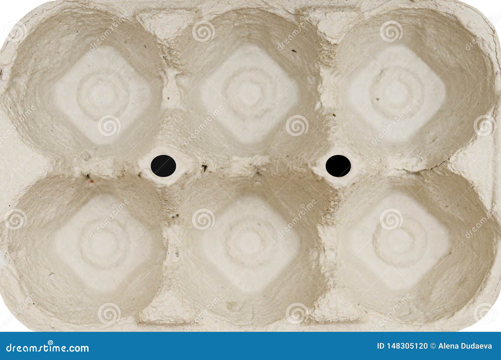 Cardboard Tray for Six 6 Eggs Isolated on a White Background. Safe