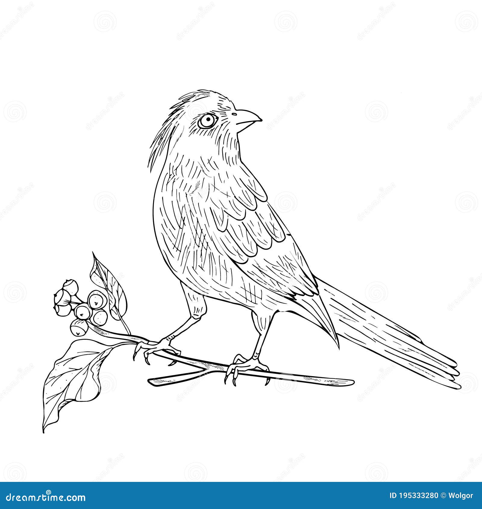 SIngle needle pine tree and cardinal bird hanging on a