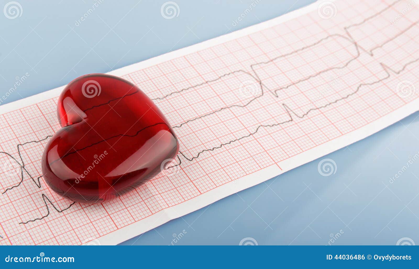 cardiograph of the heart cardiograph of the heart