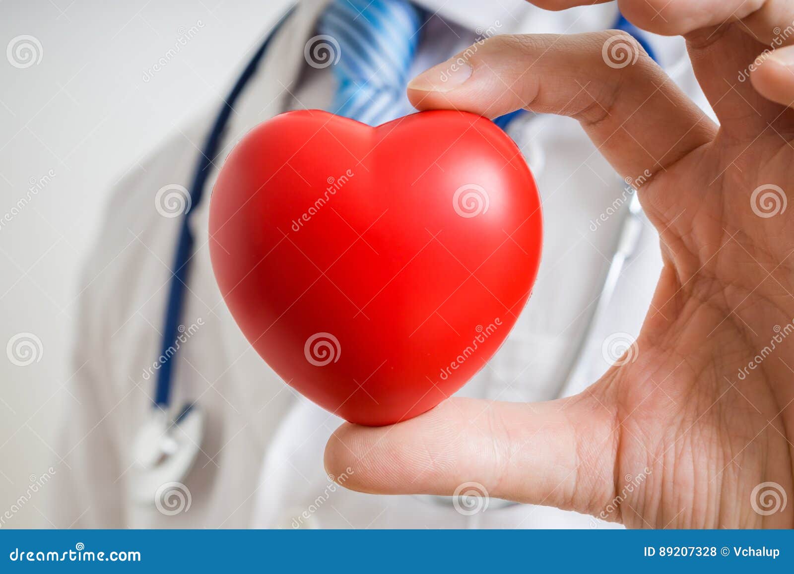 cardiologist doctor is showing red heart