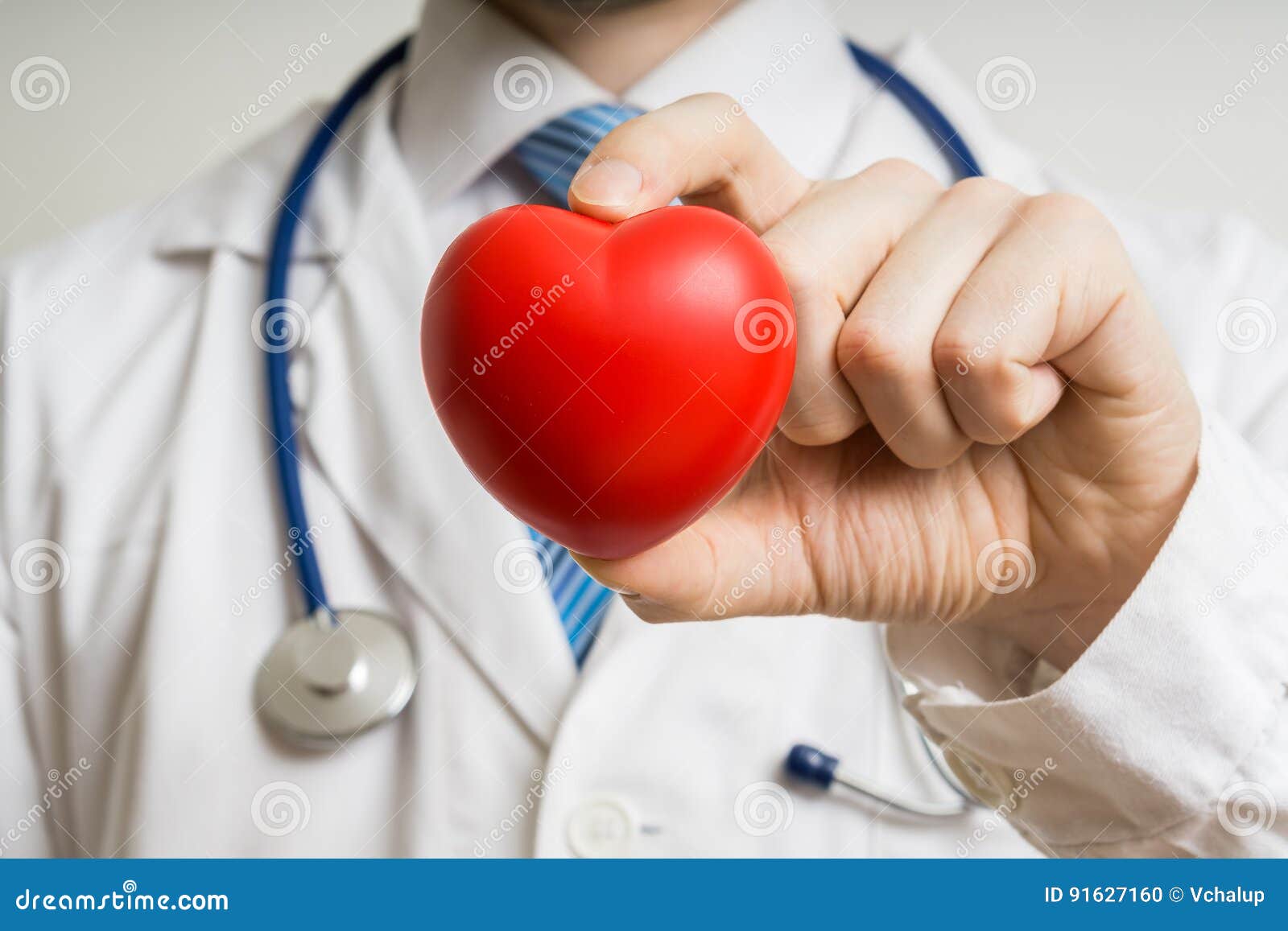 cardiologist doctor is showing red plastic heart