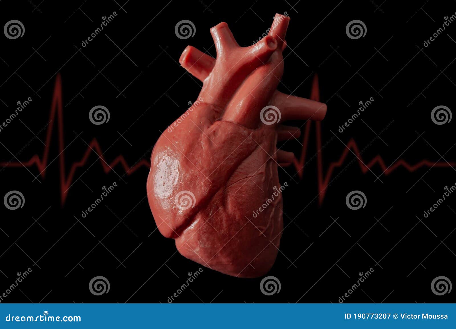 1,774 Heart Transplant Stock Photos - Free & Royalty-Free Stock Photos from  Dreamstime