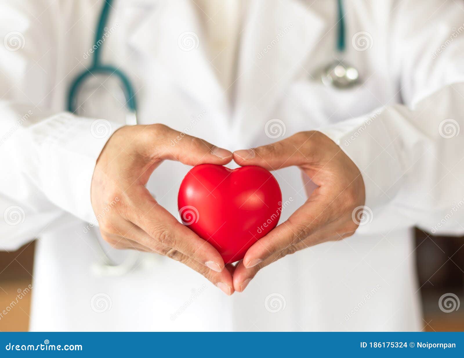 cardiovascular disease doctor or cardiologist holding red heart in clinic or hospital exam room office for csr professional