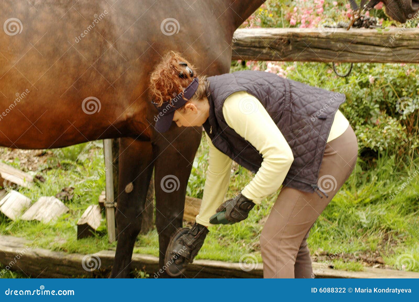 Care for the horse stock photo. Image of ranch, love, animal 6088322