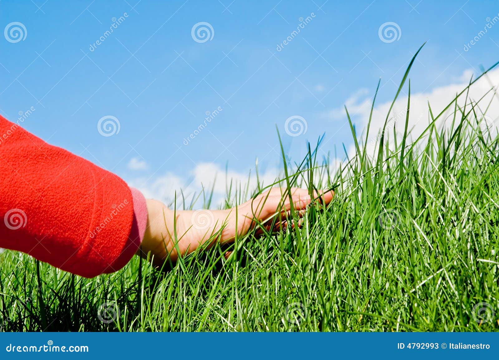 caressing the grass