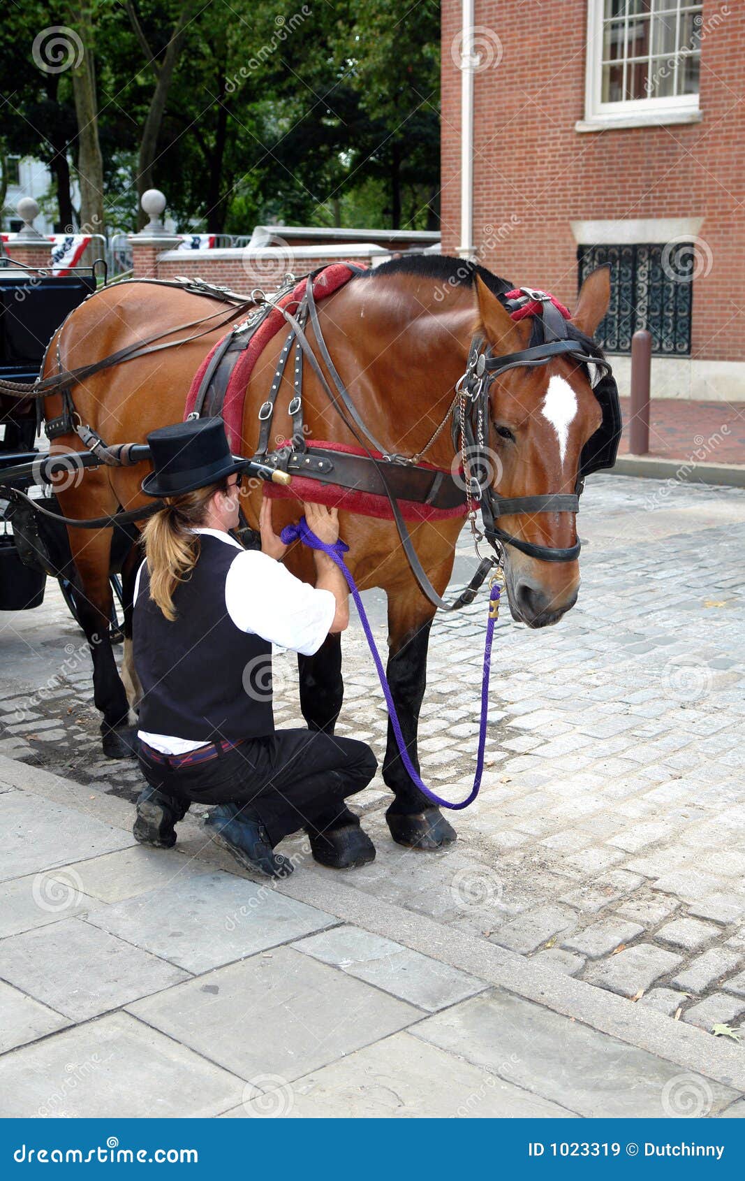 Caretaker Caring For His Horse Picture. Image 1023319
