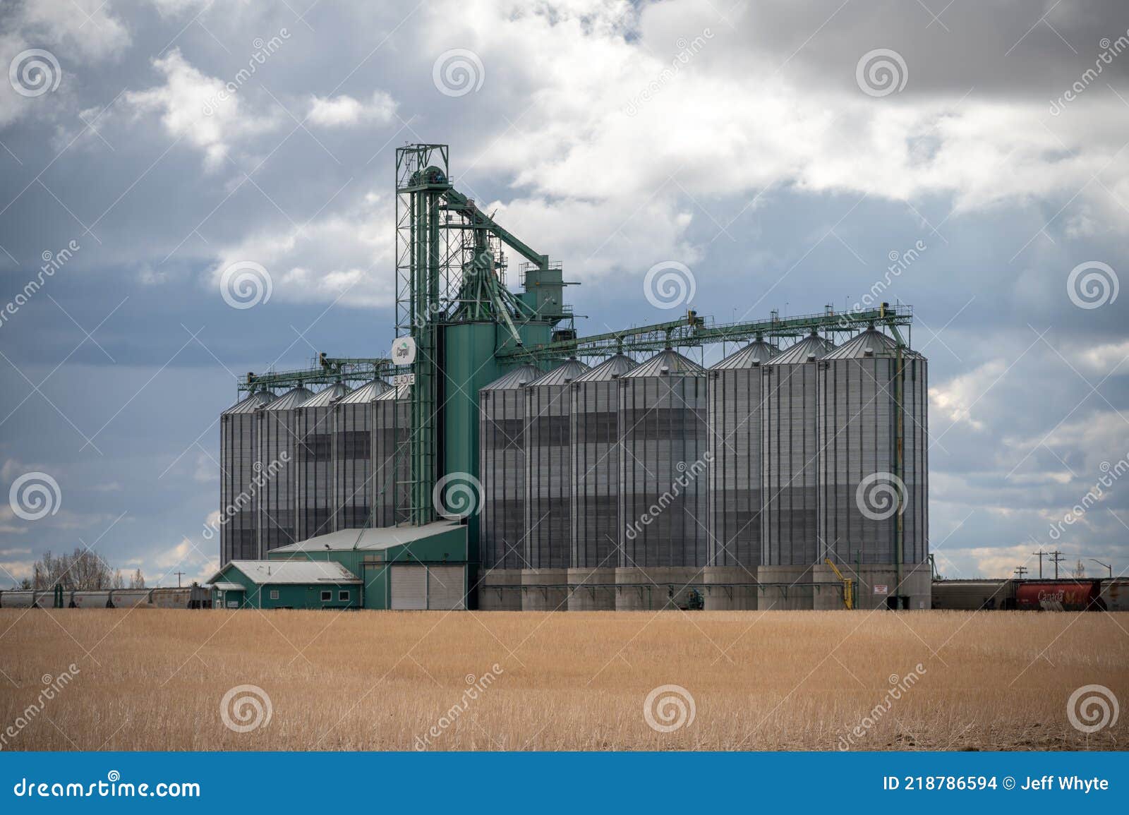 Cargill Elevator, Blackie editorial stock image. Image of alberta
