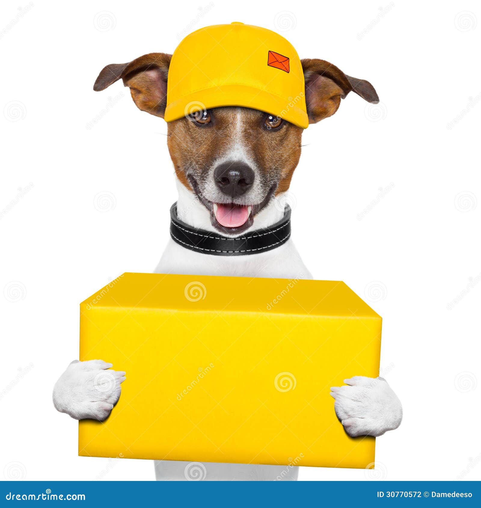 Cargo da entrega do cão foto de stock. Imagem de animal 30770572