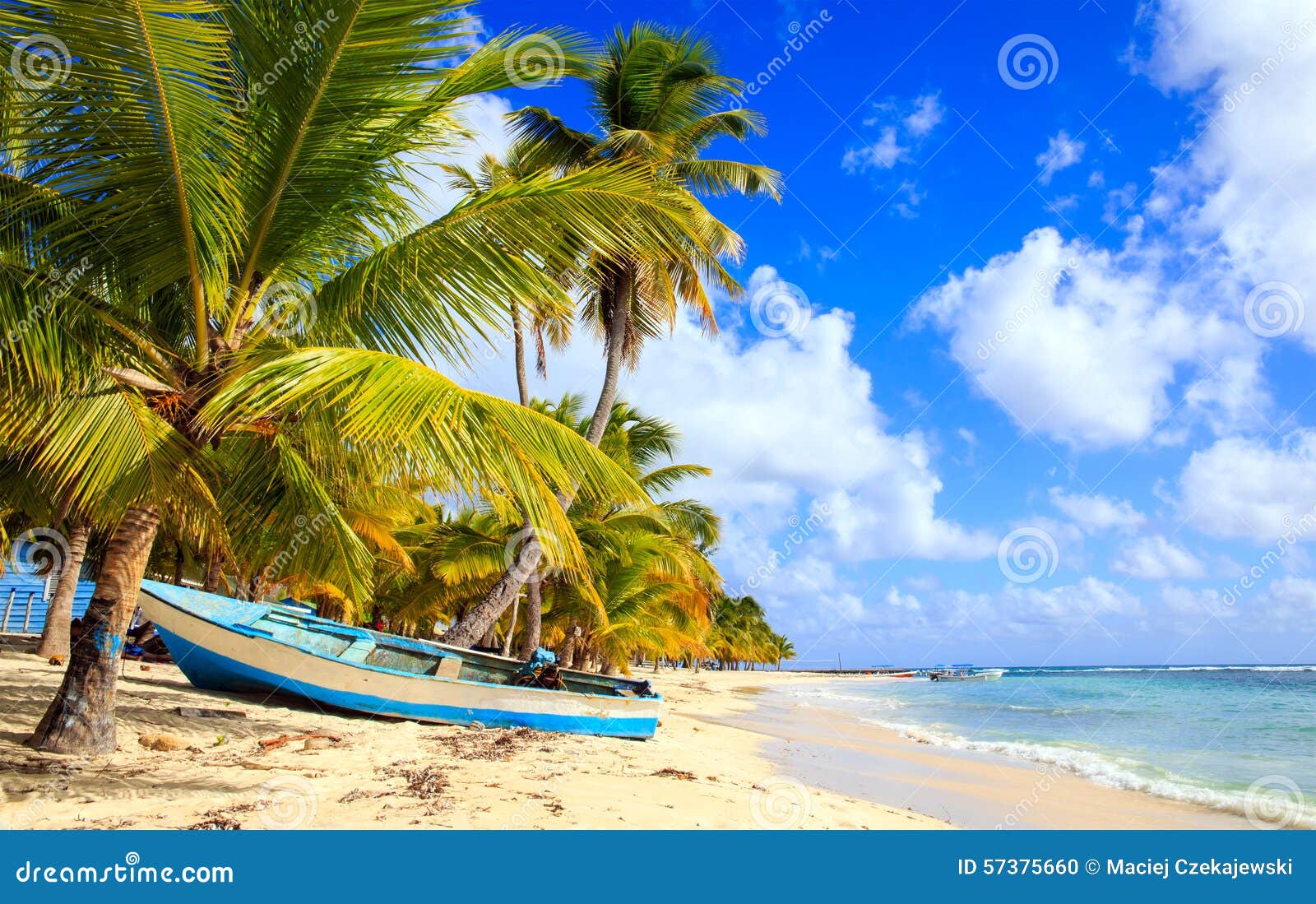 caribbean beach in dominican republic