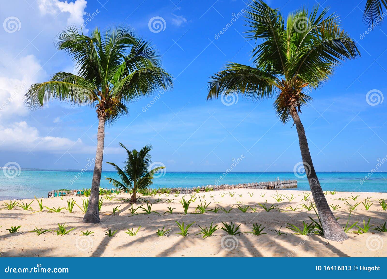 caribbean beach, mexico