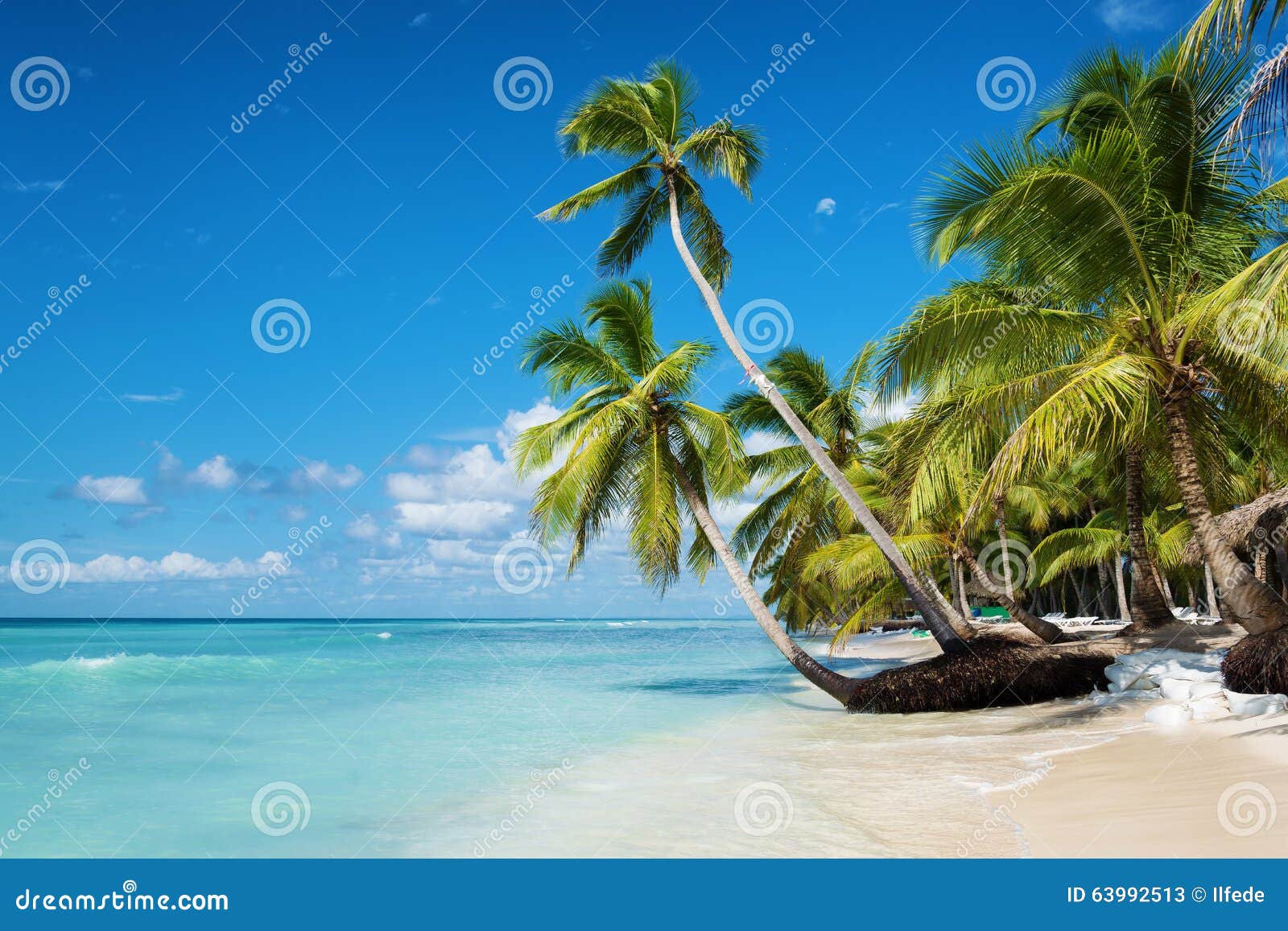 caribbean beach in saona island, dominican republic