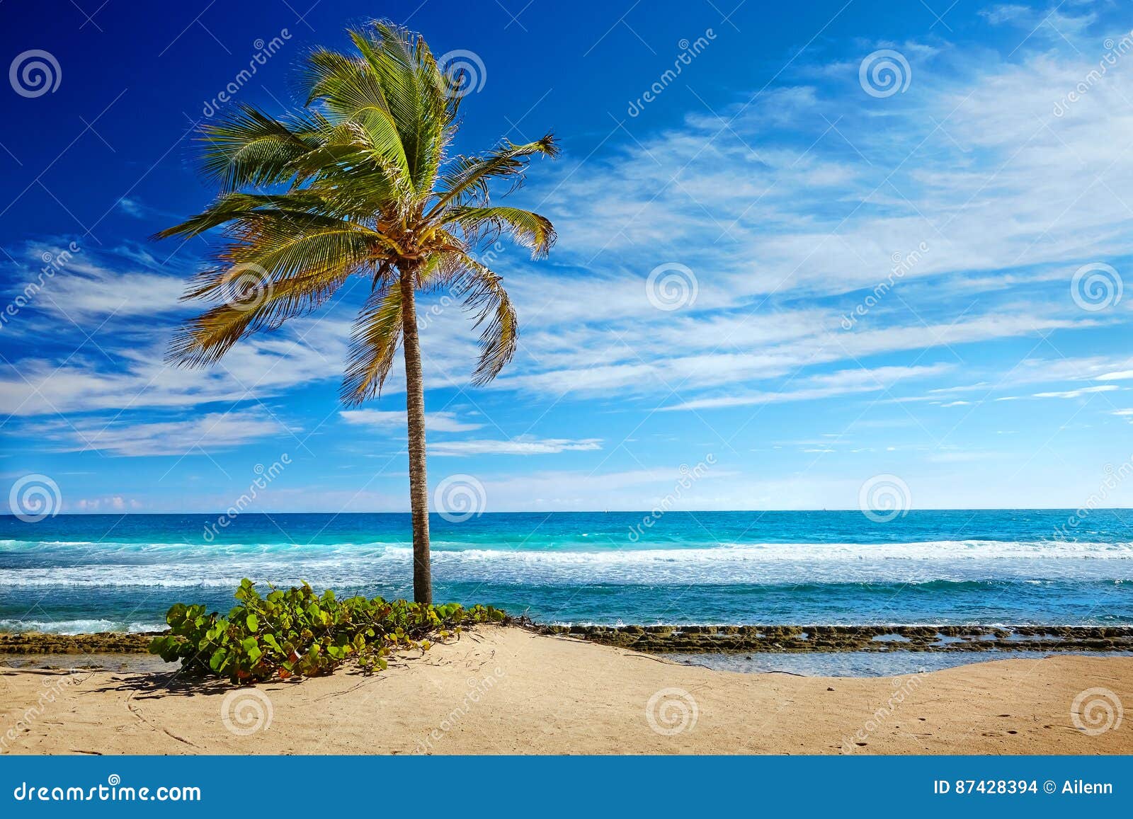 caribbean beach and tropical sea in haiti