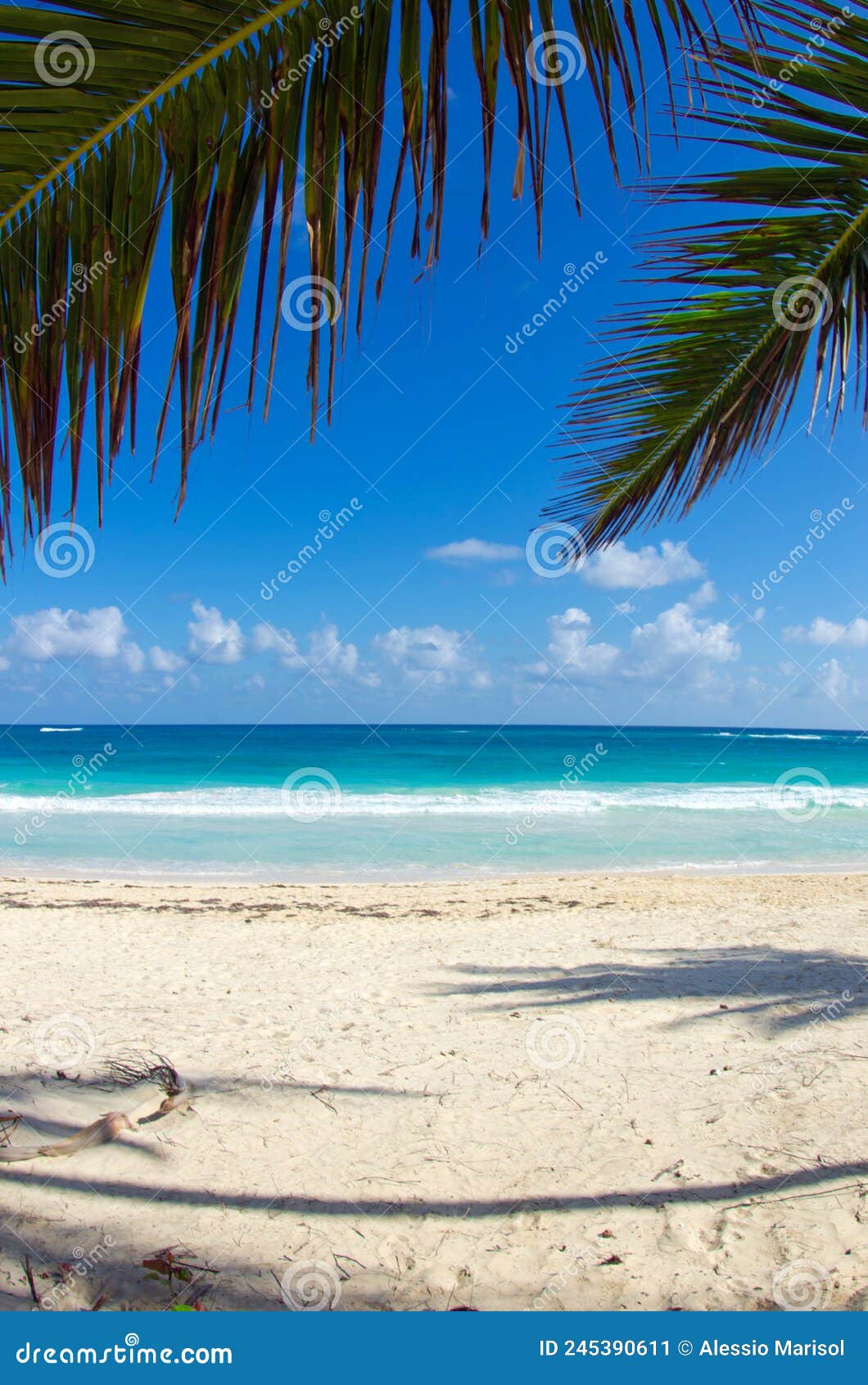 Caribbean clear beach stock image. Image of relax, island 245390611