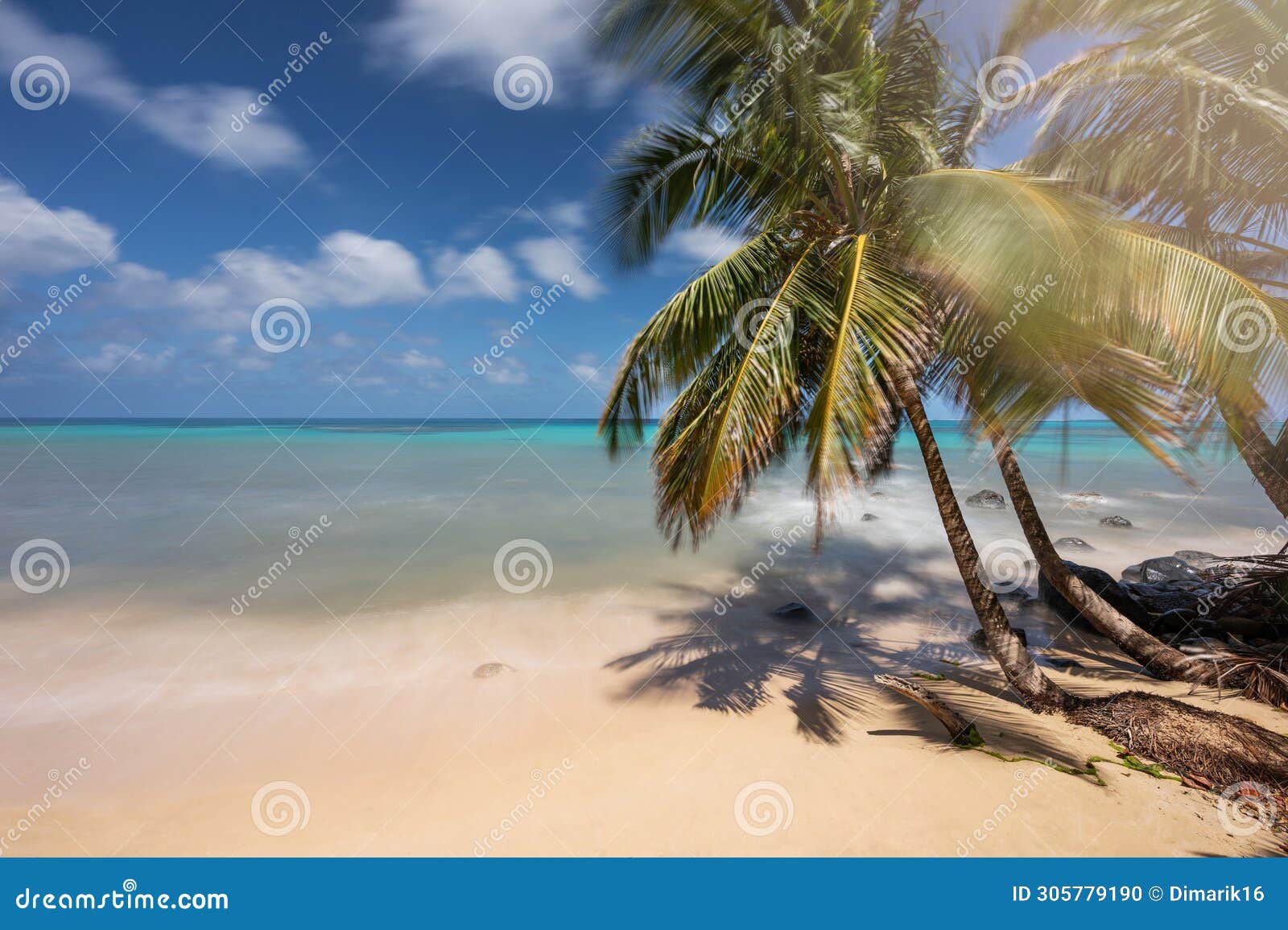 caribbean destination theme