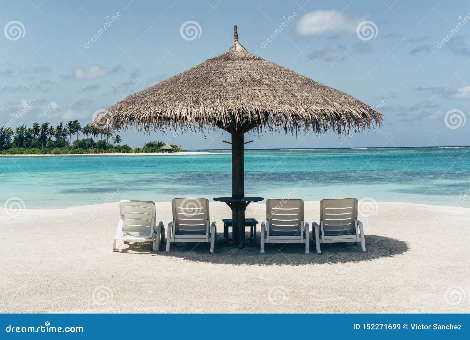 Caribbean Paradise Beach with Umbrella and Hammocks Stock Image Image