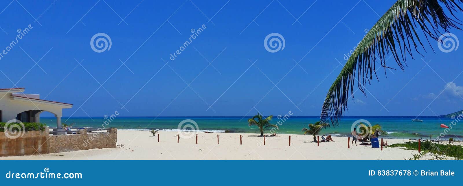 caribbean in playacar