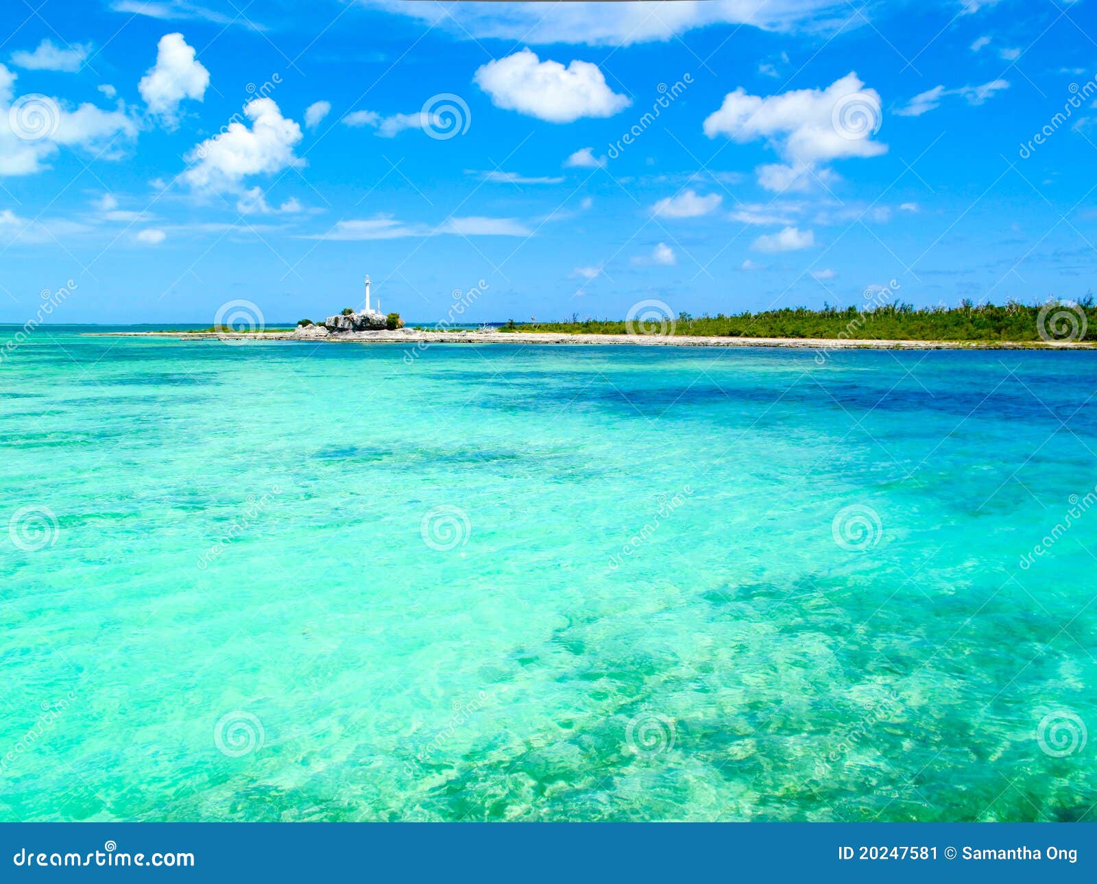 caribbean sea - iguana island, cayo largo, cuba