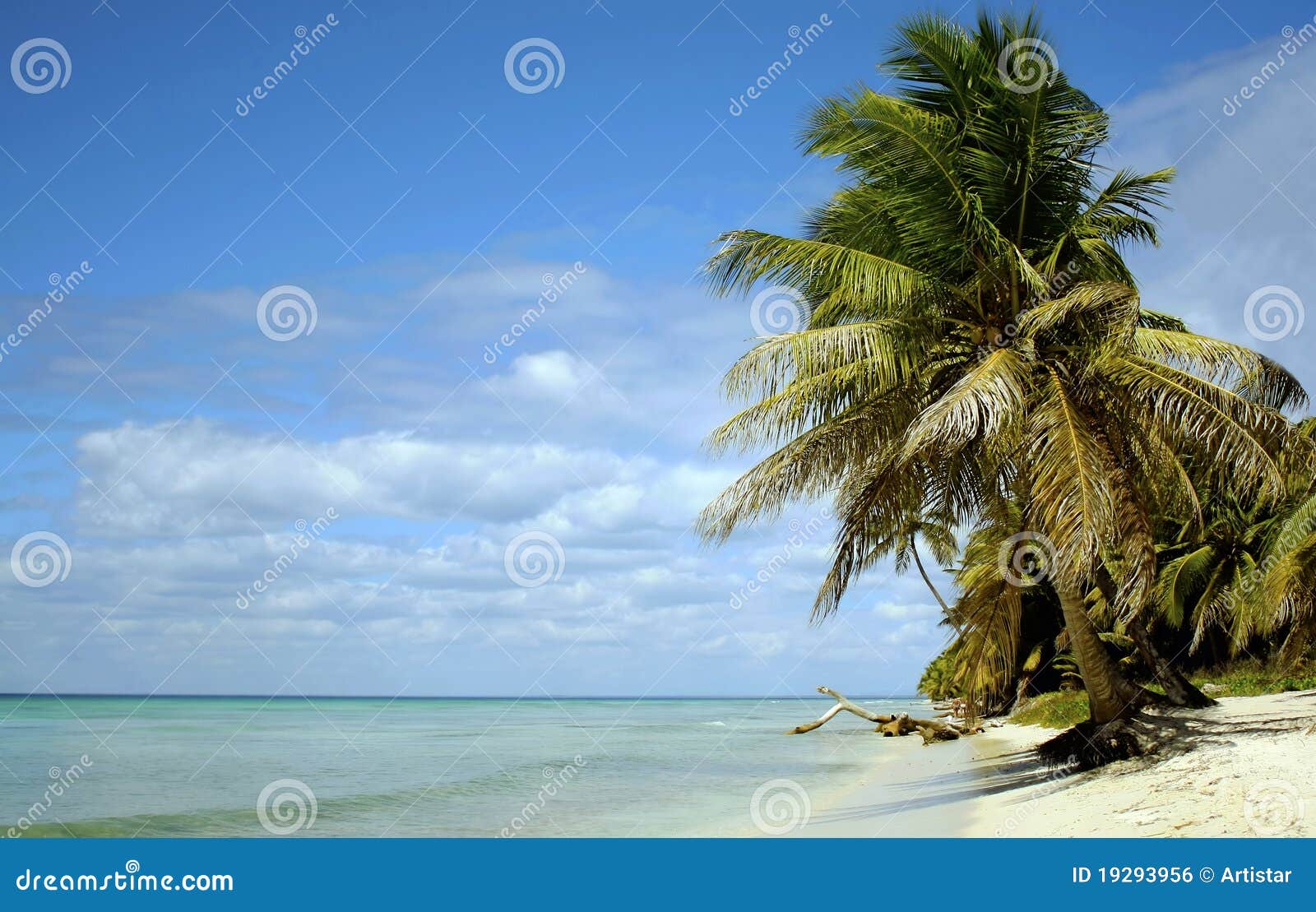Caribean paradise. Saona island beach in dominican republic