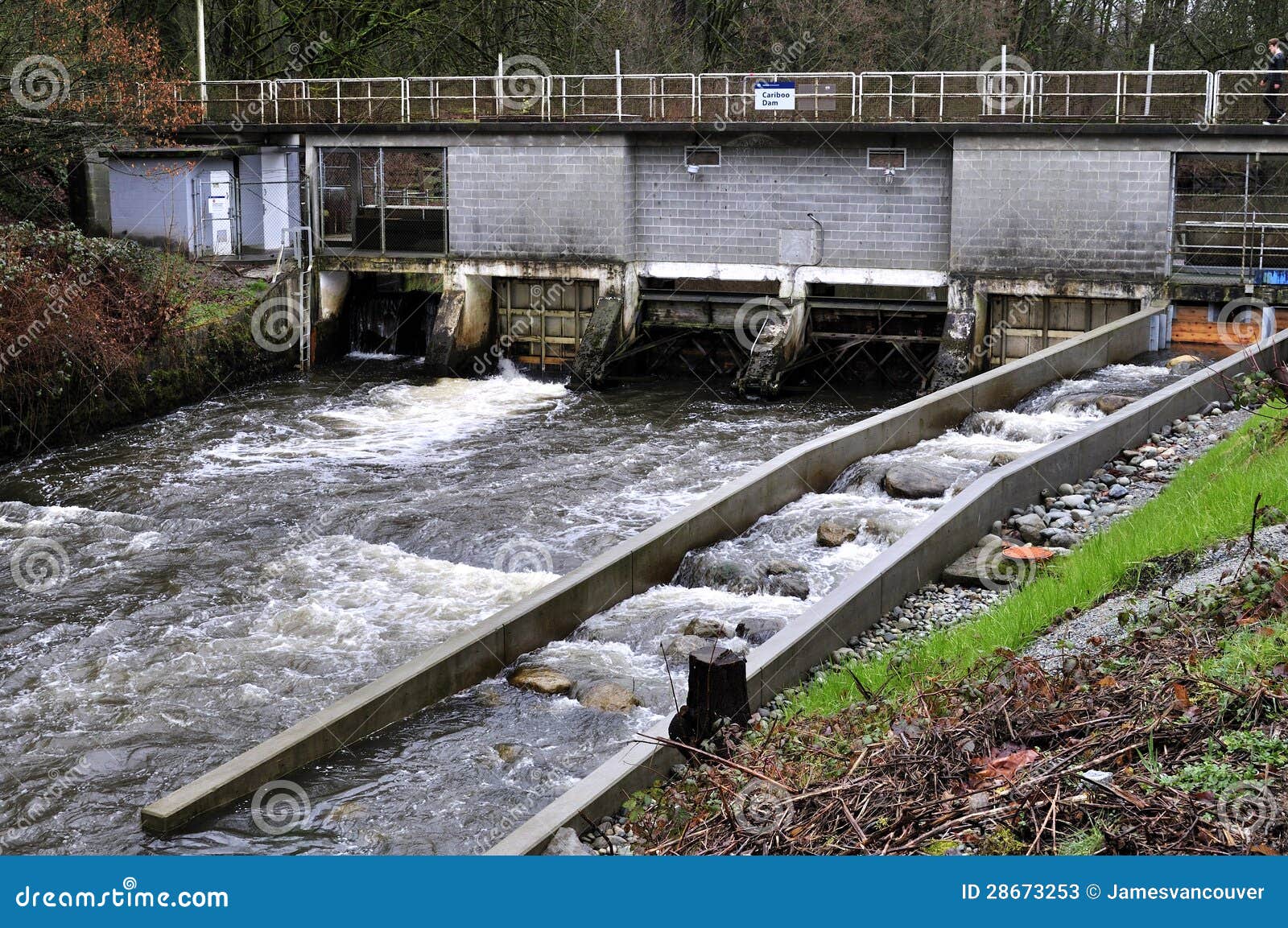 Cariboo Dam stock image. Image of grass, tree, heater 28673253