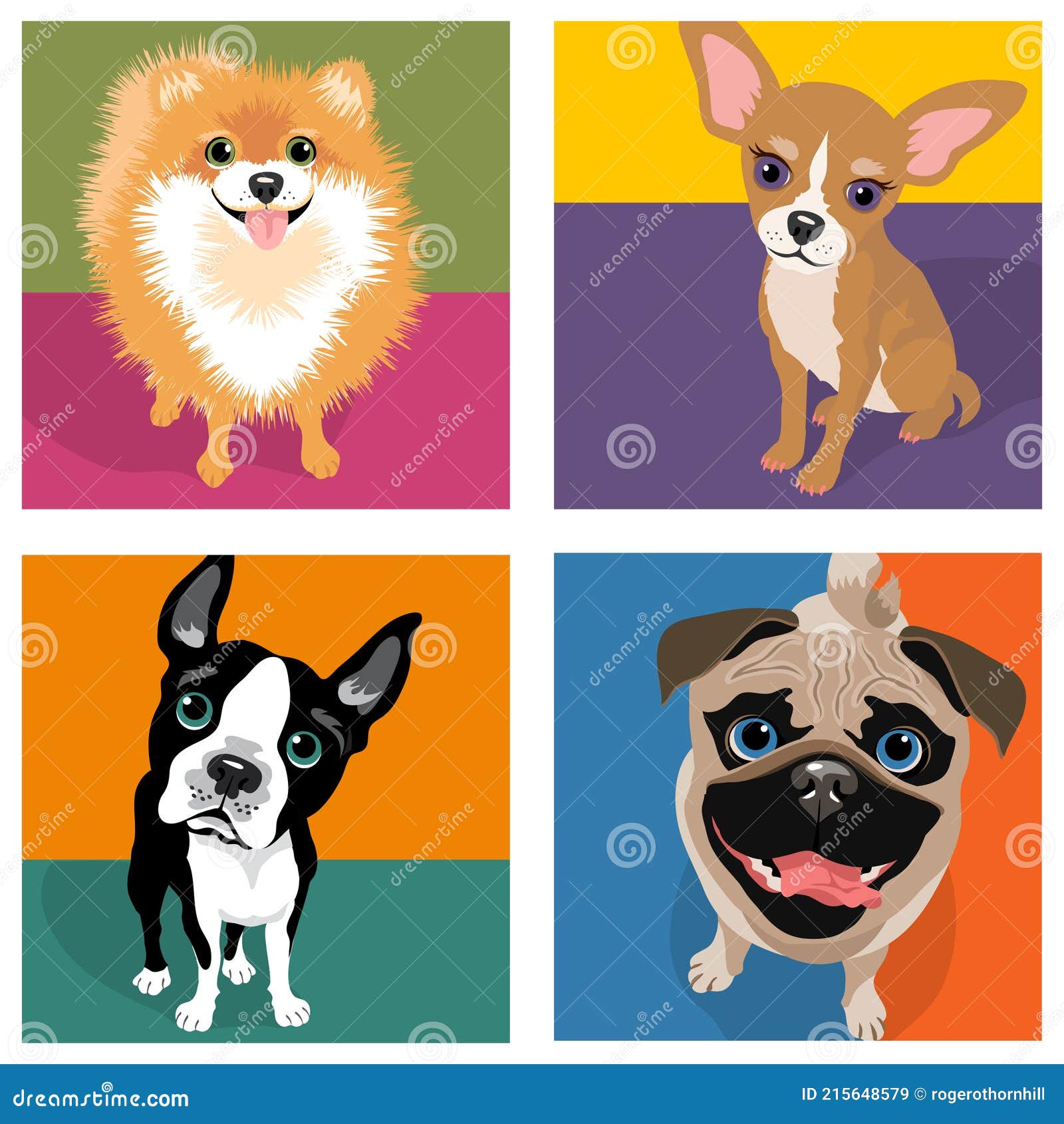 Caricaturas De Dibujos Animados De 4 Razas De Perros. Pomerania Chihuahua  Boston Terrig Pug. Ilustración del Vector - Ilustración de perro, lindo:  215648579