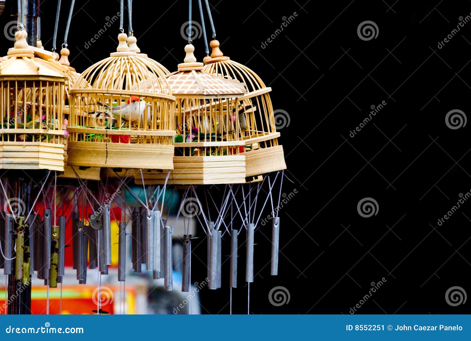 Spazzola Per Pulizia Gabbie Uccelli | Manico 36,5 Cm | Setole Durevoli | Per Animali Piccoli - Foto 11