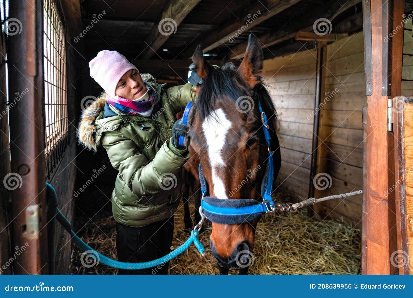 Caring for Horses in the Stables. Combing Hair with the Help of