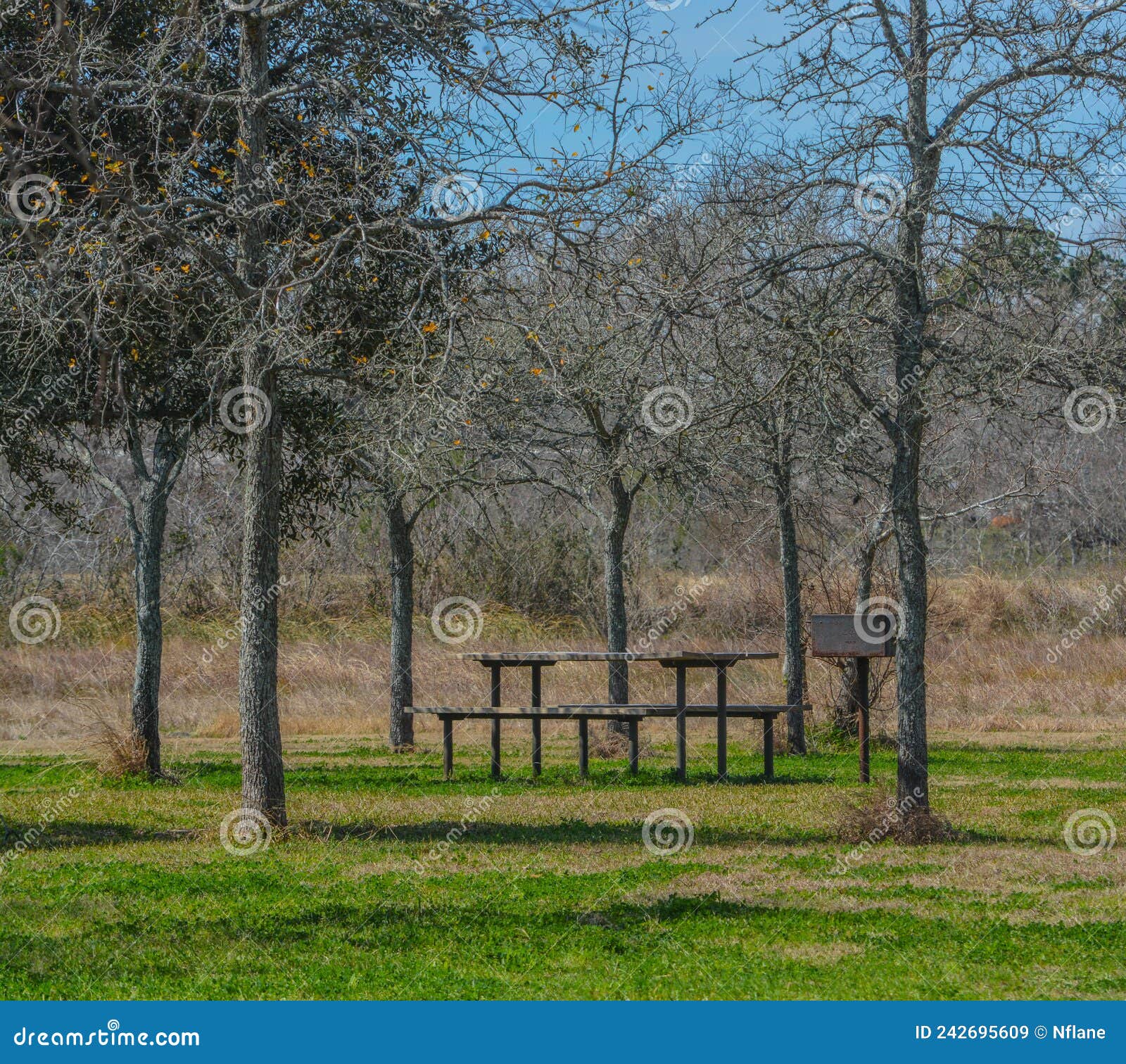the carl parks picnic area on the tres palacios river in el campo, matagorda county, texas