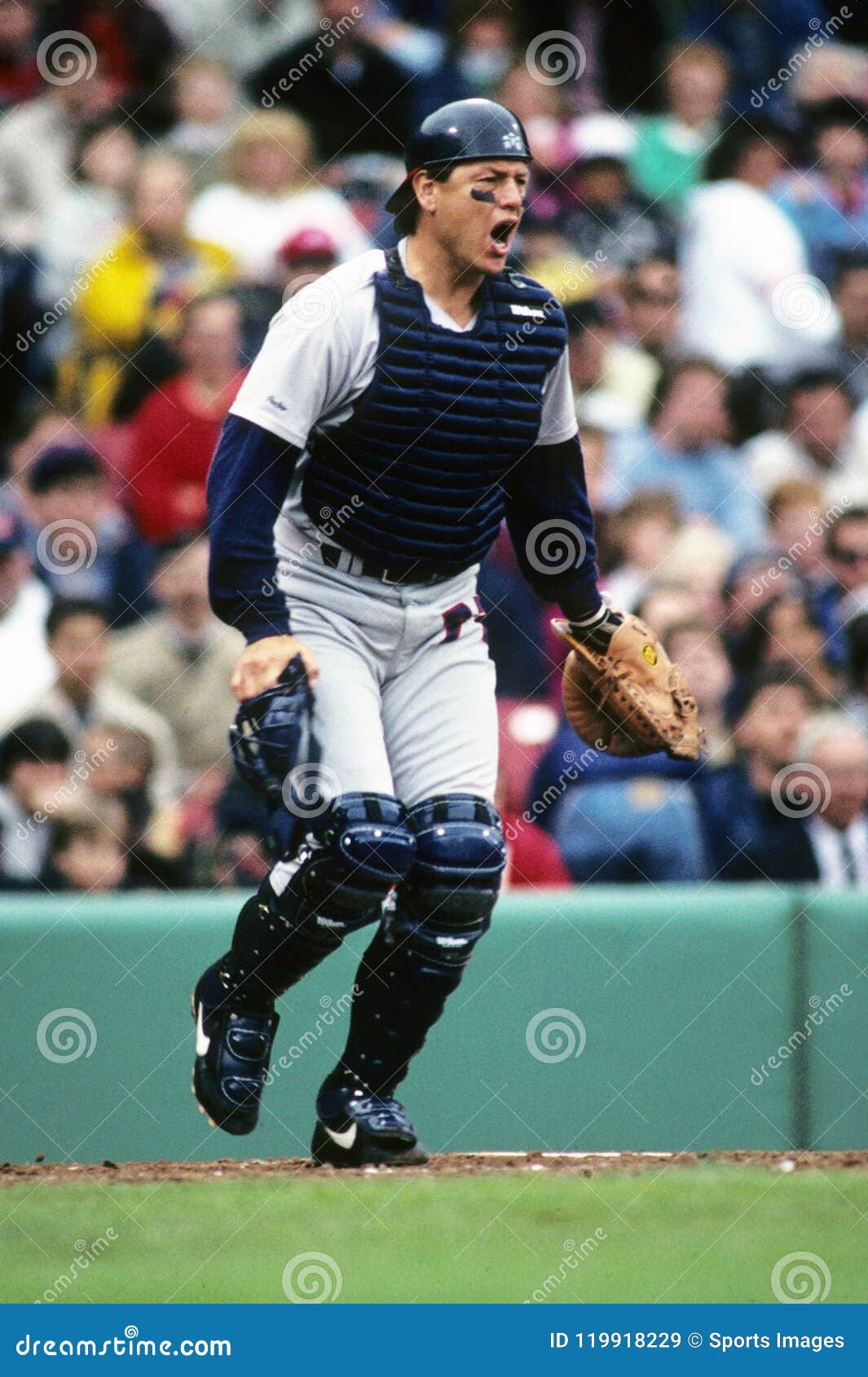 Carlton Fisk Chicago White Sox Editorial Stock Image - Image of
