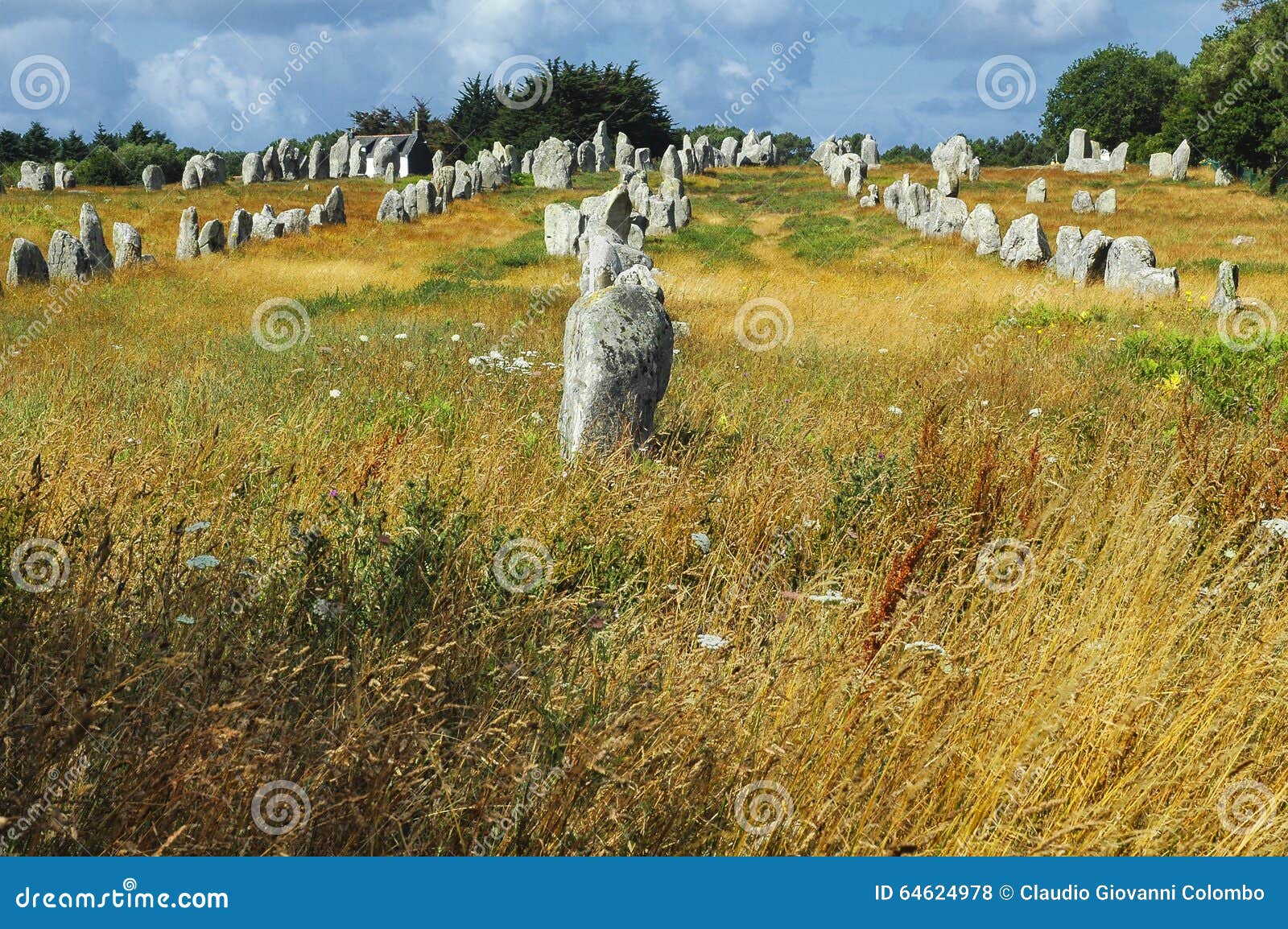 Carnac (Bretagne, Frankreich) Menhir Stockfoto Bild von stehen