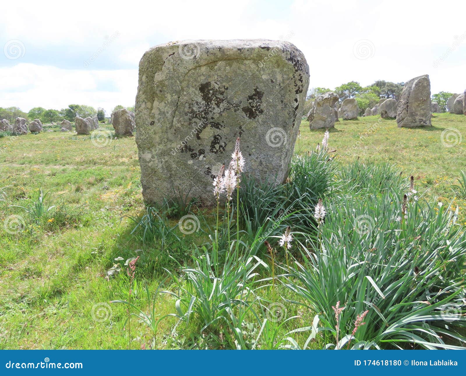carnac megalith alignments