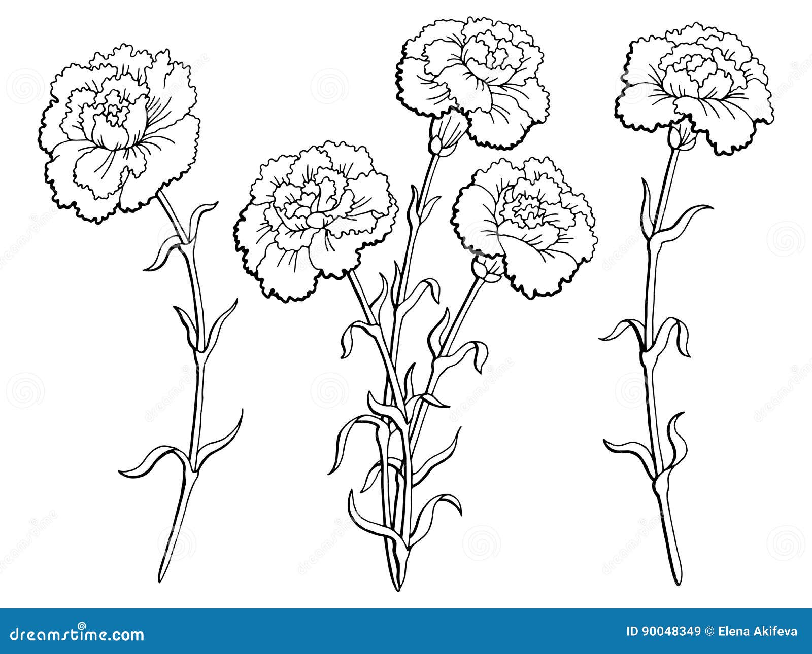 Carnation Flower Graphic Black White Isolated Sketch Illustration Stock ...