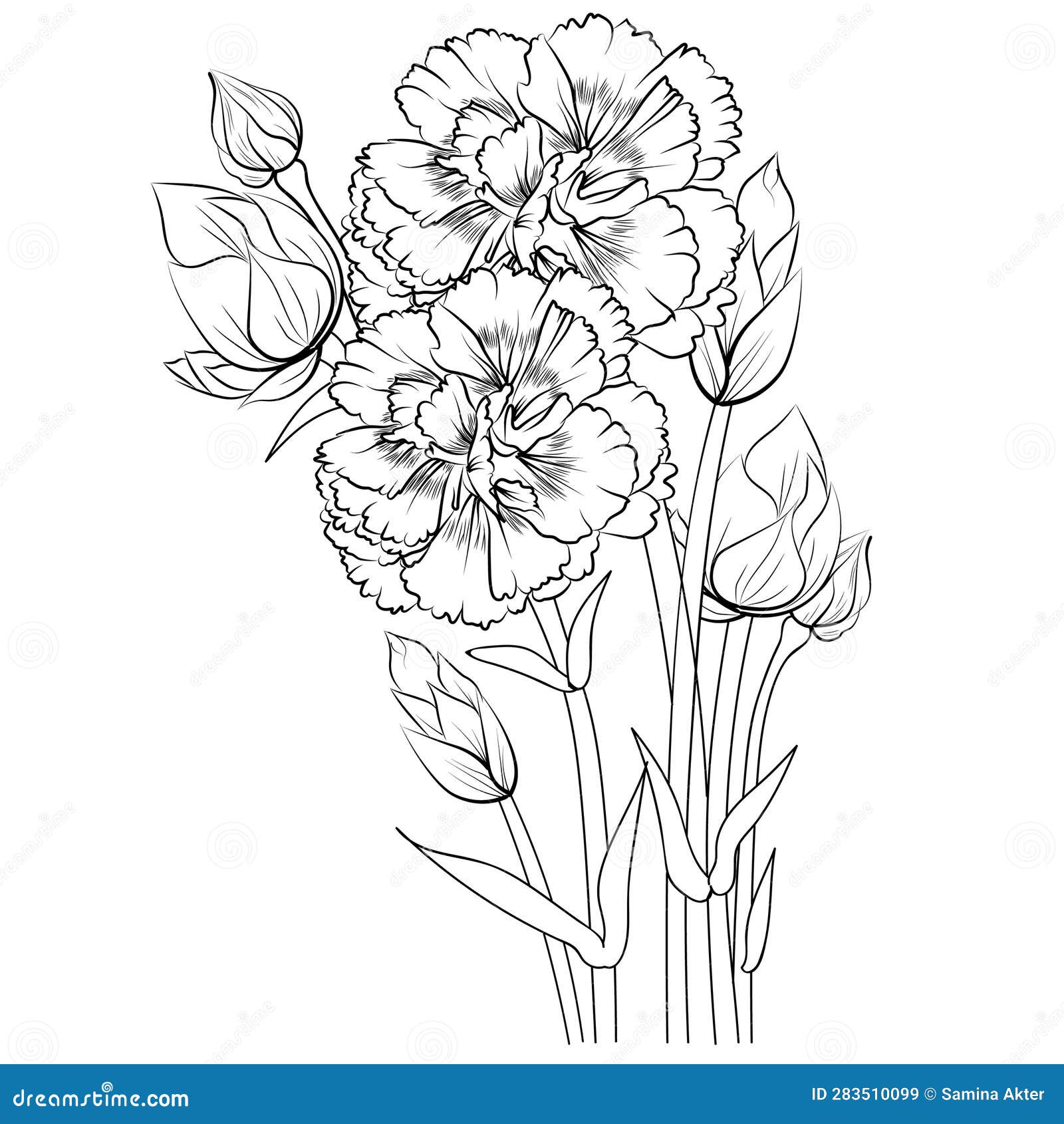 Carnation Flower Outline, Beautiful Botanical Floral Pattern ...