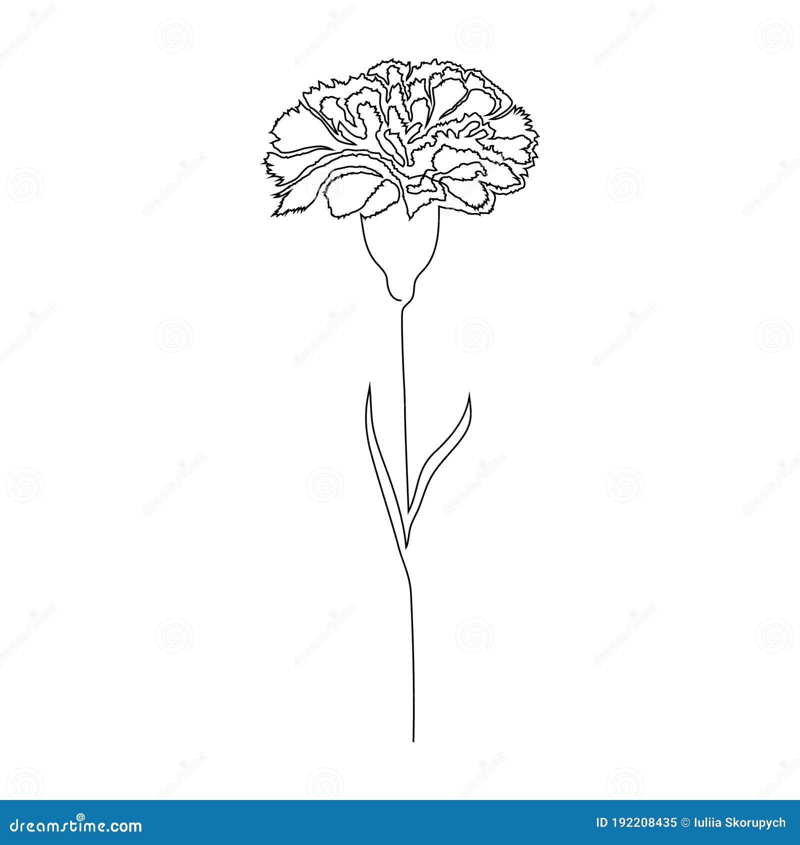 Carnation Outline Images – Browse 1,976 Stock Photos, Vectors, and Video |  Adobe Stock