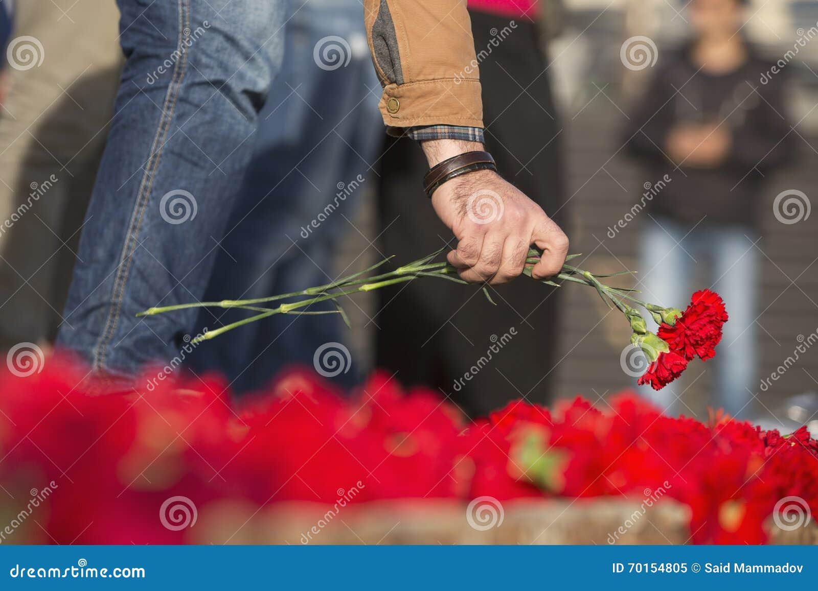 Carnation Flowers Symbol of Mourning Stock Image Image of family