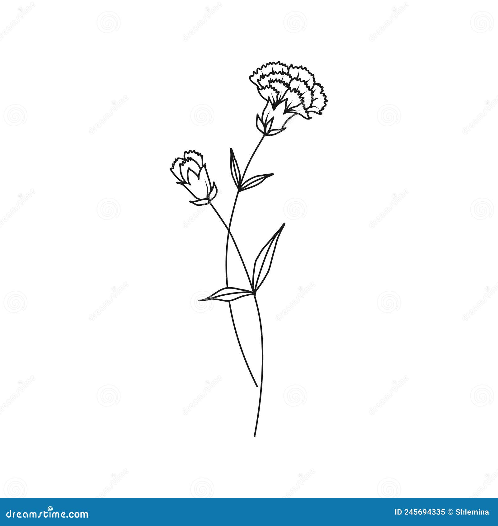 January Birth Flower Tattoo Design, Flower Name Tattoo Idea, Carnation  Flower Name Tattoo Design