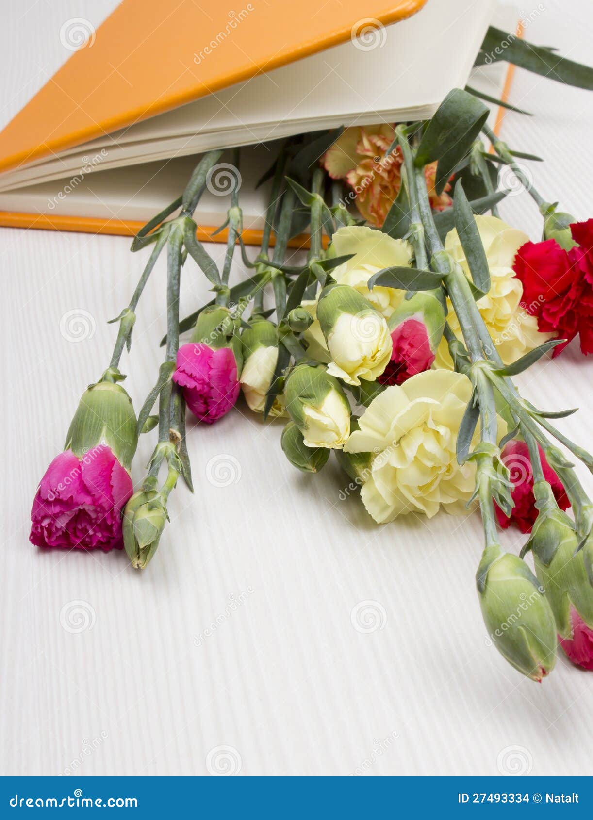 Carnations in the book stock photo. Image of chinese 27493334