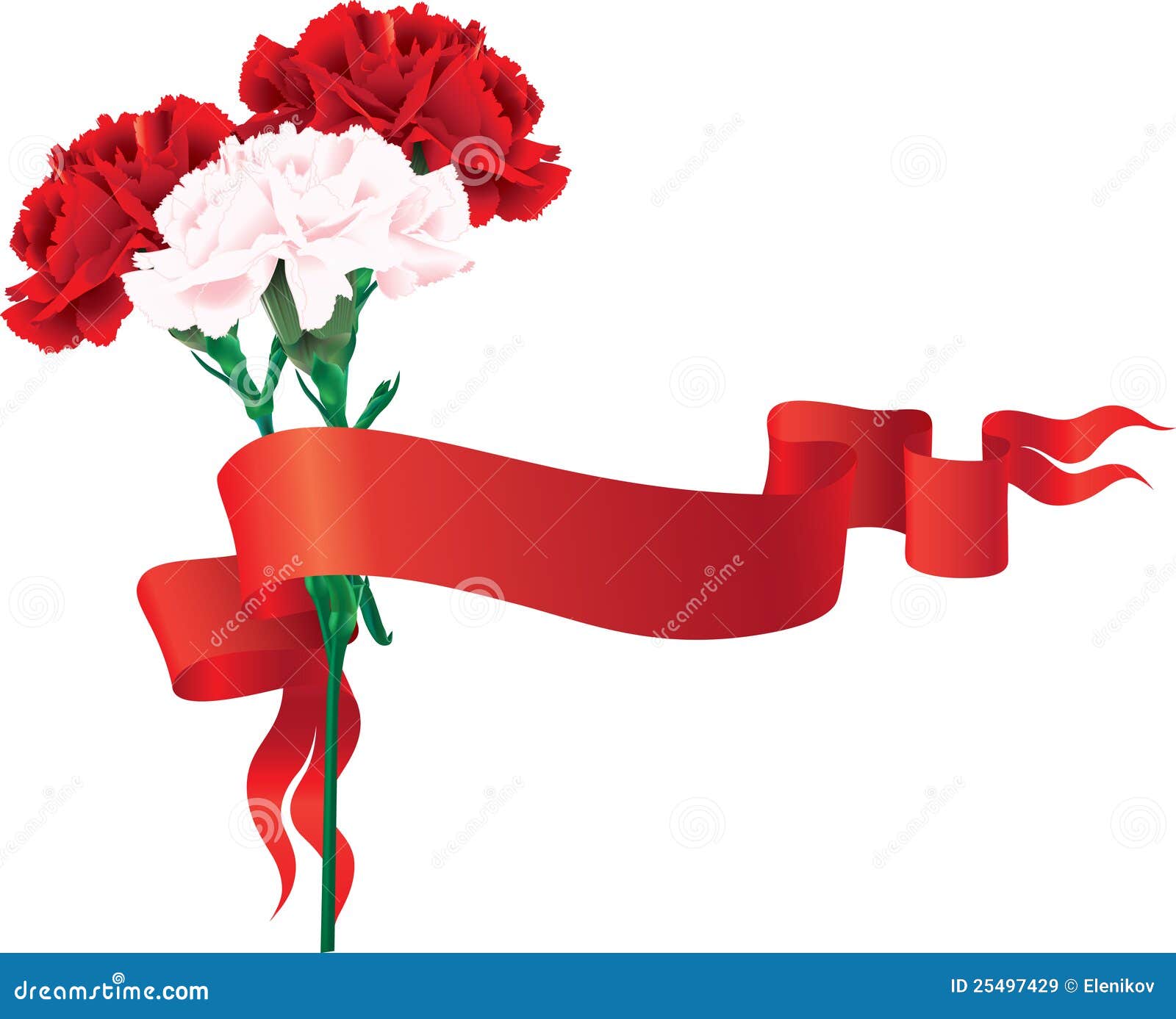 Carnations with a ribbon stock vector. Illustration of grace 25497429