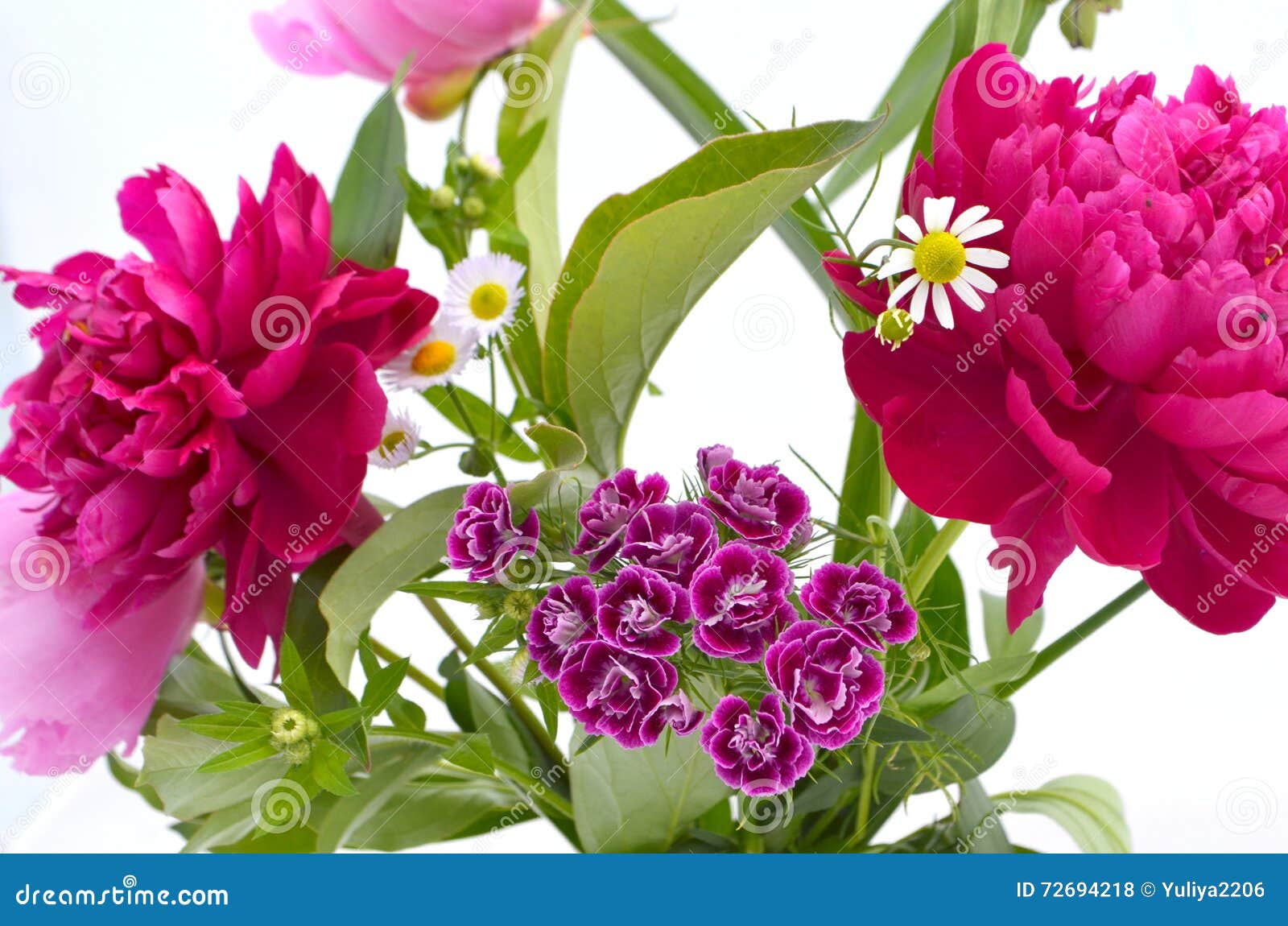 Carnations, Sweet-william, Peonies, Daisy Stock Photo - Image of care ...