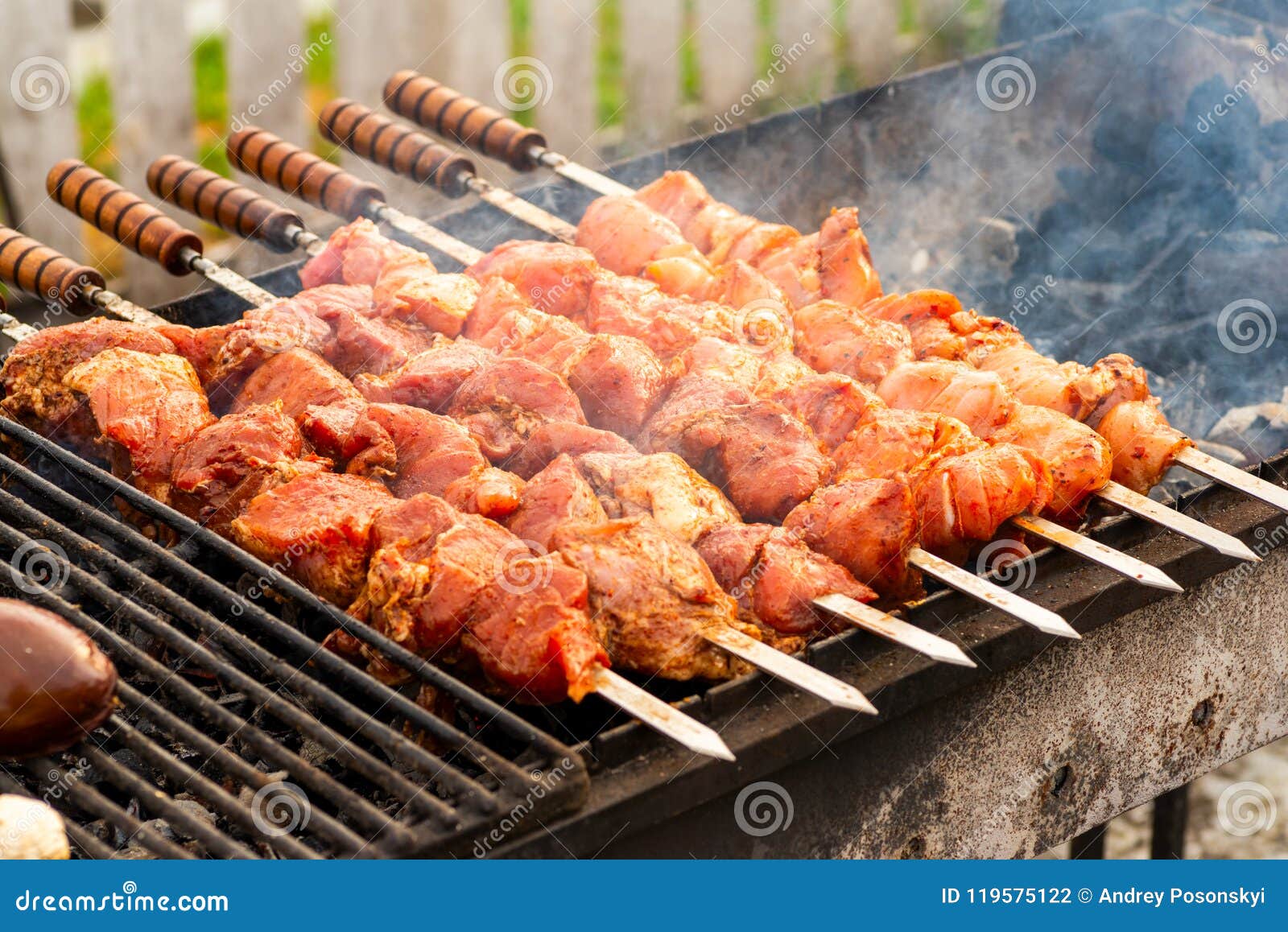 Carne En Los Pinchos Un Fuego Abierto Foto de archivo - Imagen de pollo,  mano: 119575122