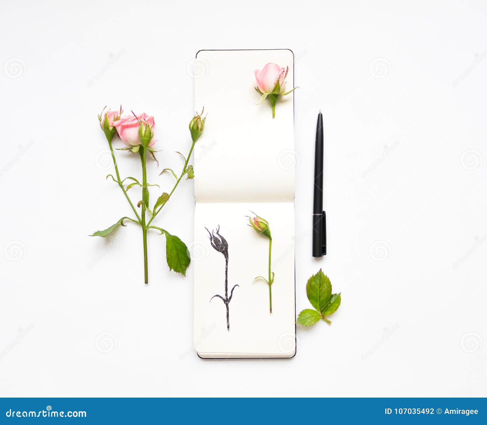 Origine Et Signification Du Tatouage Rose Allotattoo
