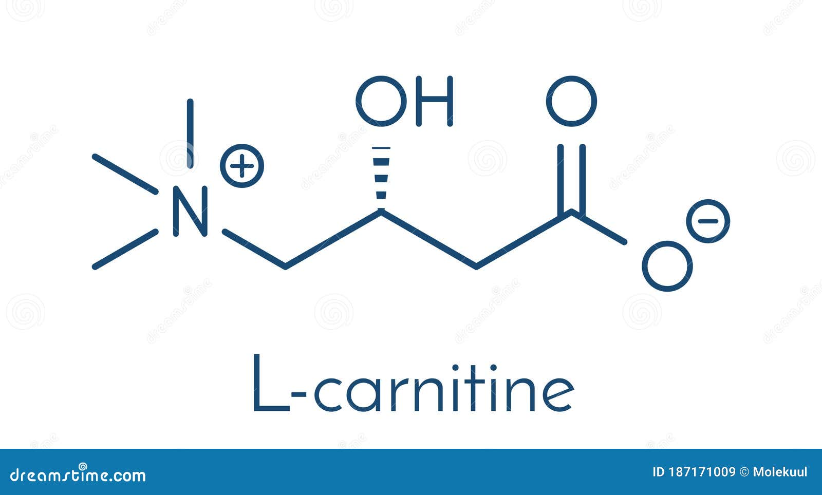 Carnitine Food Supplement Molecule, Chemical Structure Skeletal Formula. Stock Vector