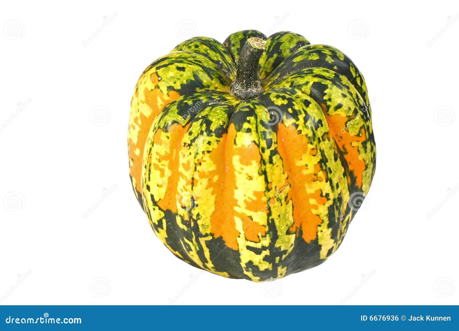 Carnival Winter Squash stock photo. Image of farm, food 6676936