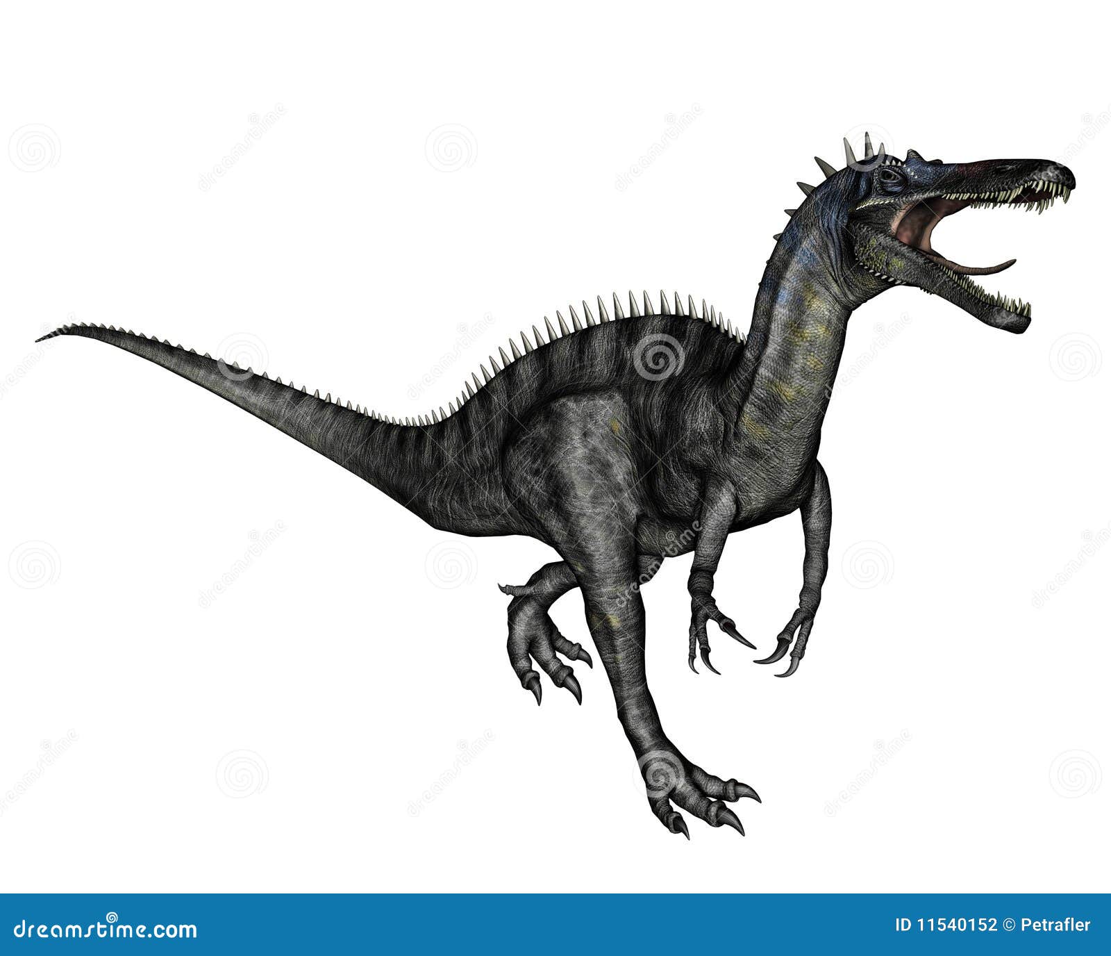 Dinosaur Run Fast Stock Illustrations – 67 Dinosaur Run Fast Stock  Illustrations, Vectors & Clipart - Dreamstime