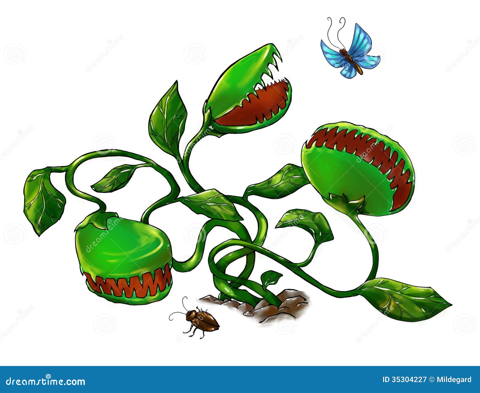 venus fly trap clipart - photo #46