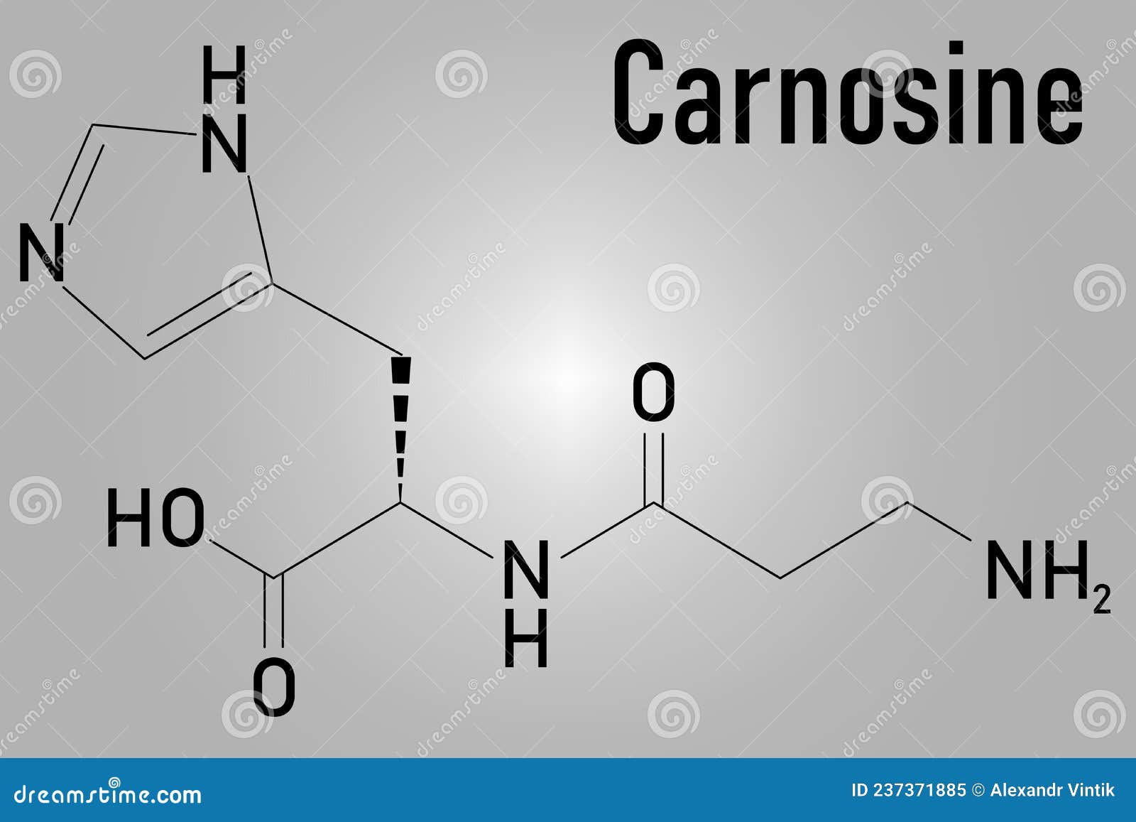 Carnosine, Molecular Structures, Dipeptide Molecule, 3d Model