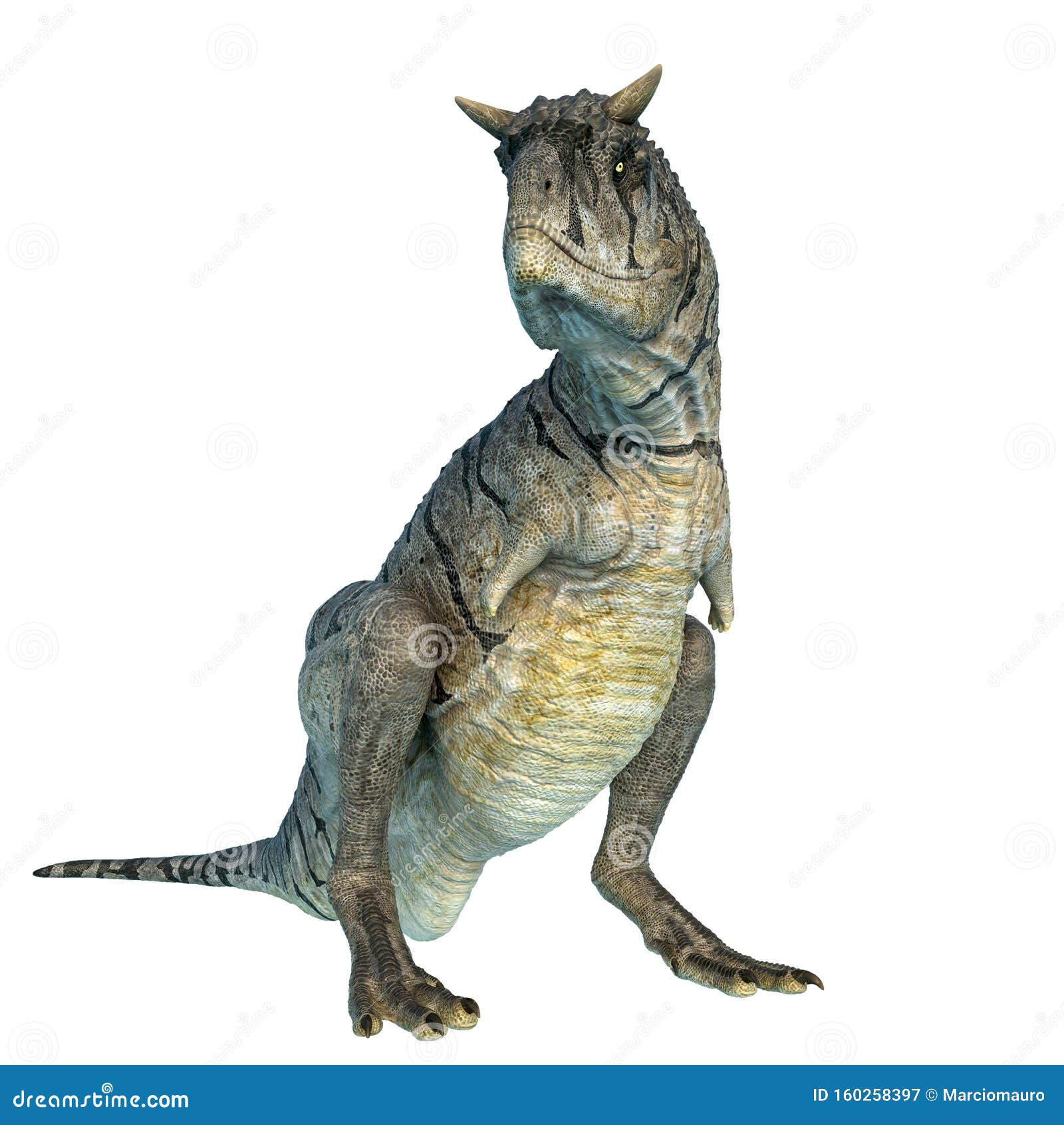carnotaurus sastrei sitting in a white background