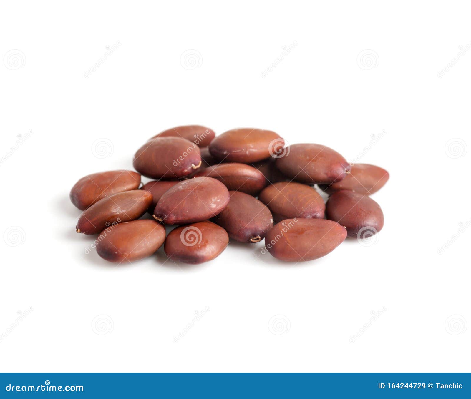 Carob Beans in a Bunch Isolated on White Stock Image Image of heap