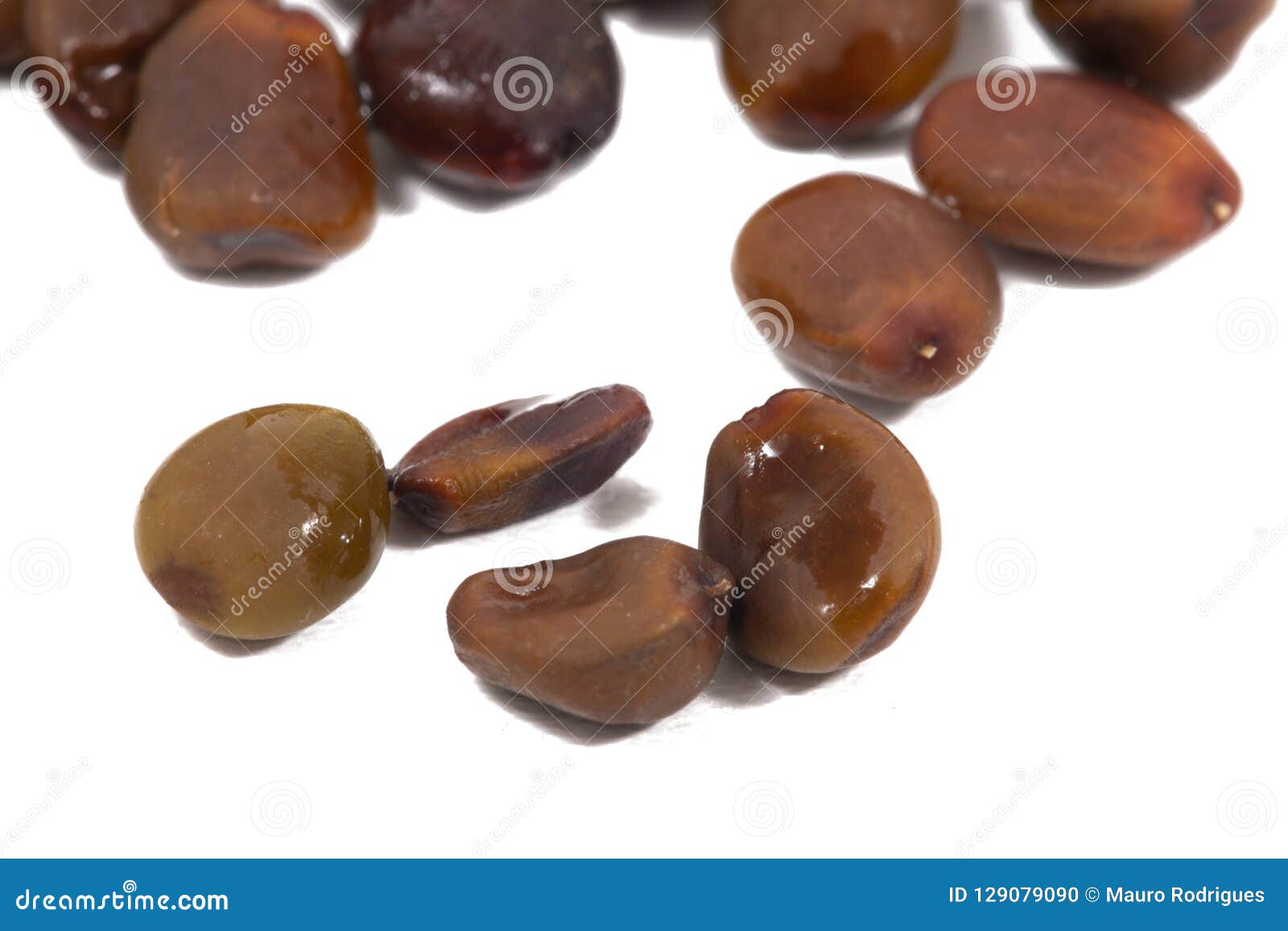 Carob fruit seeds stock photo. Image of portuguese, pile 129079090