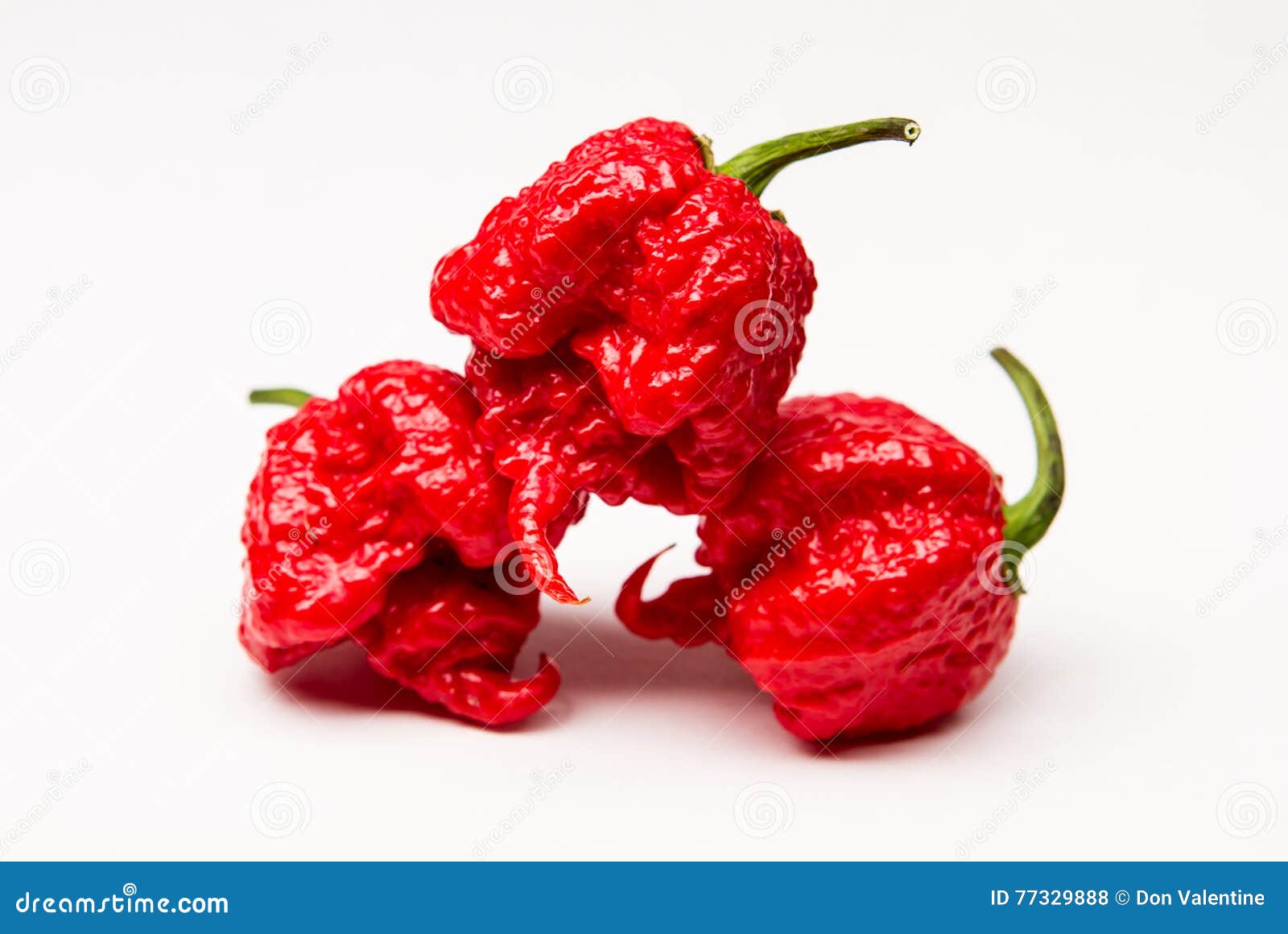 Carolina Reaper Pimientos Picantes Foto de archivo Imagen de
